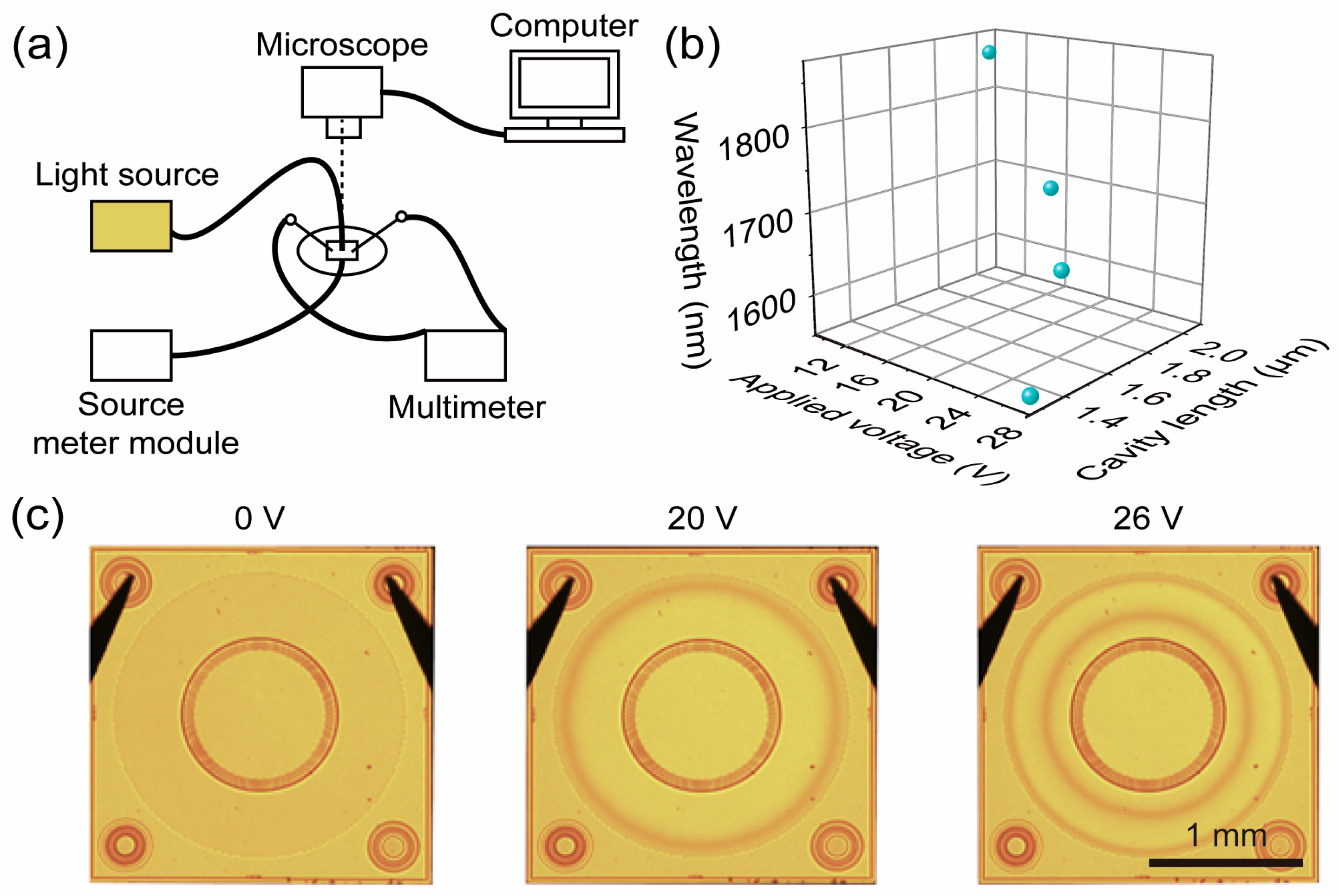 Micromachines 16 00135 g005