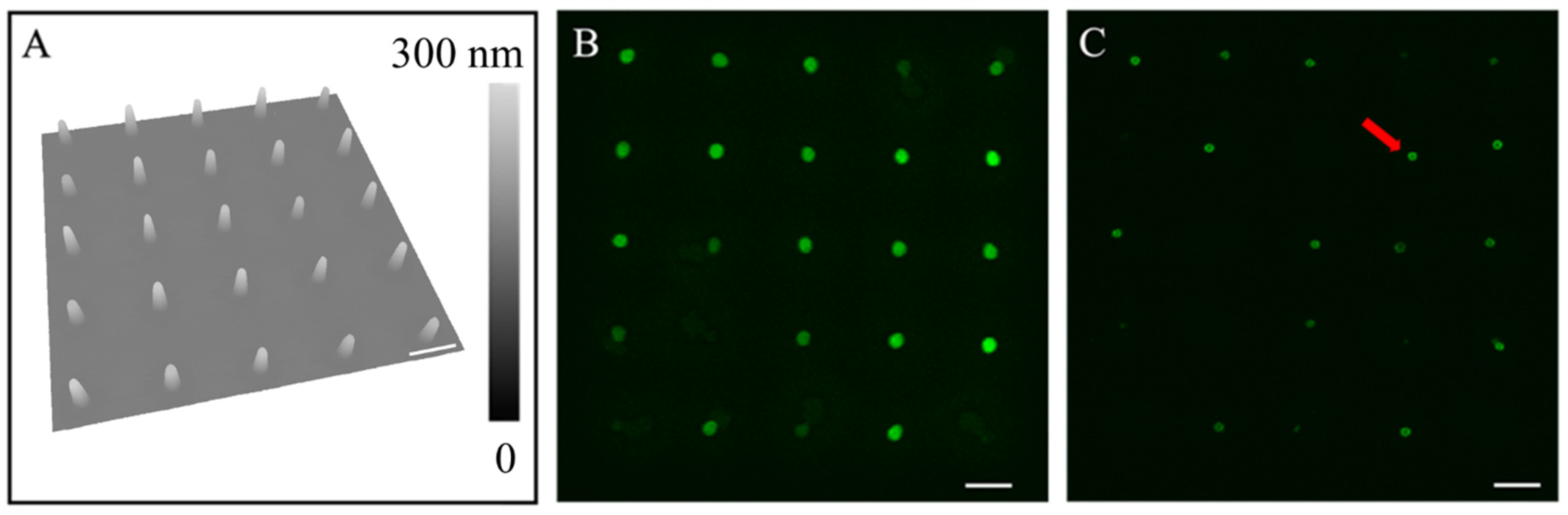 Micromachines 16 00138 g002