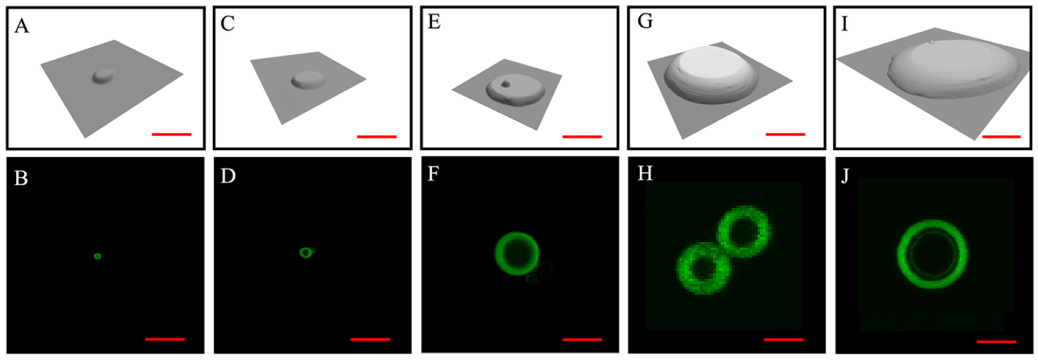 Micromachines 16 00138 g004