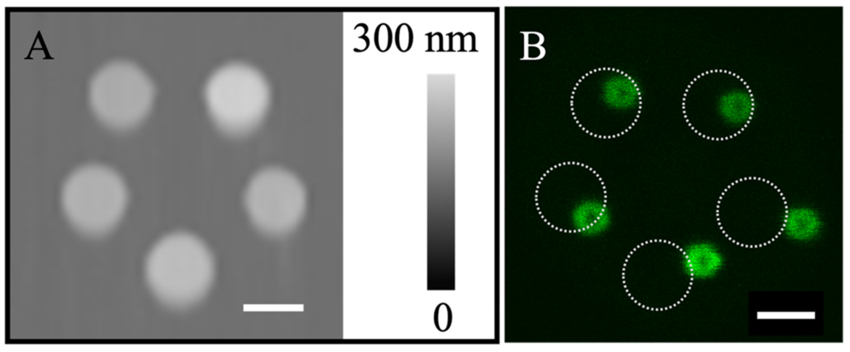 Micromachines 16 00138 g006