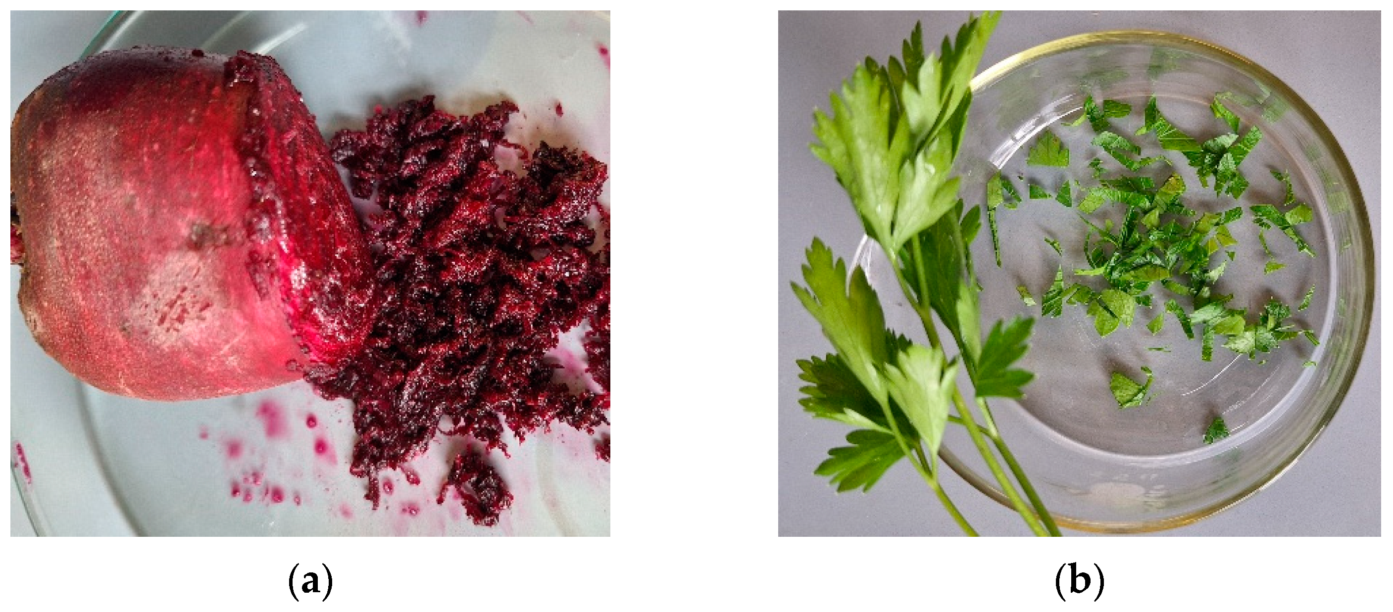 Micromachines 16 00143 g001