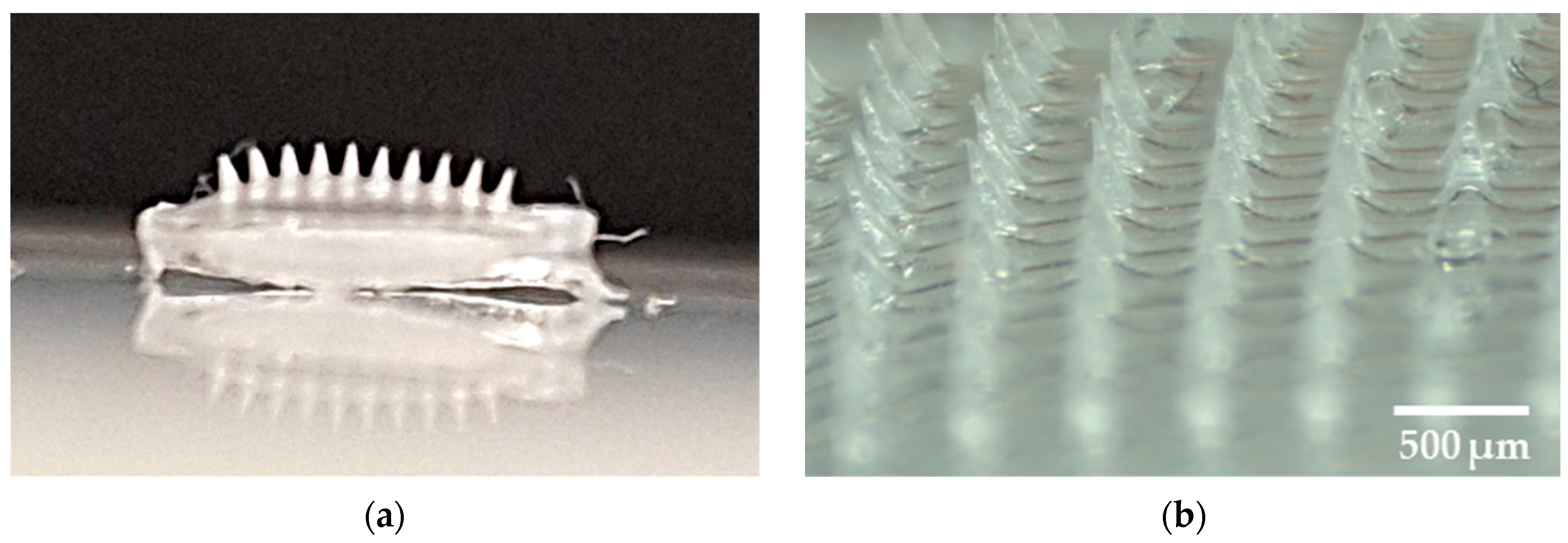 Micromachines 16 00143 g011