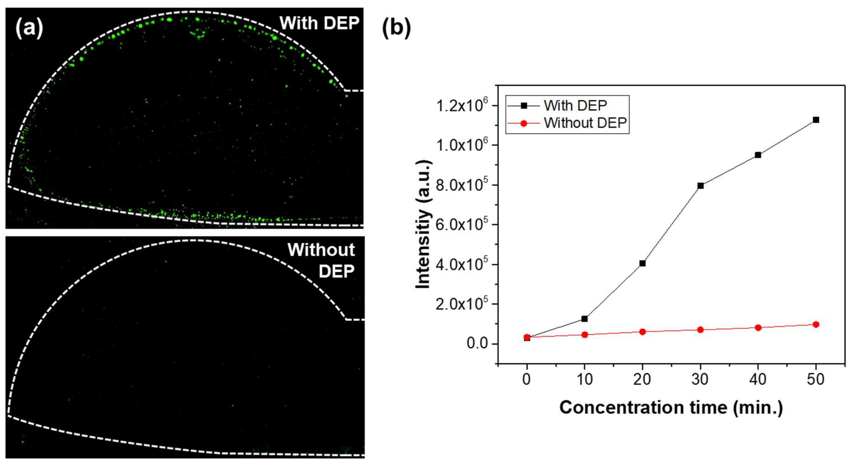 Micromachines 16 00158 g006