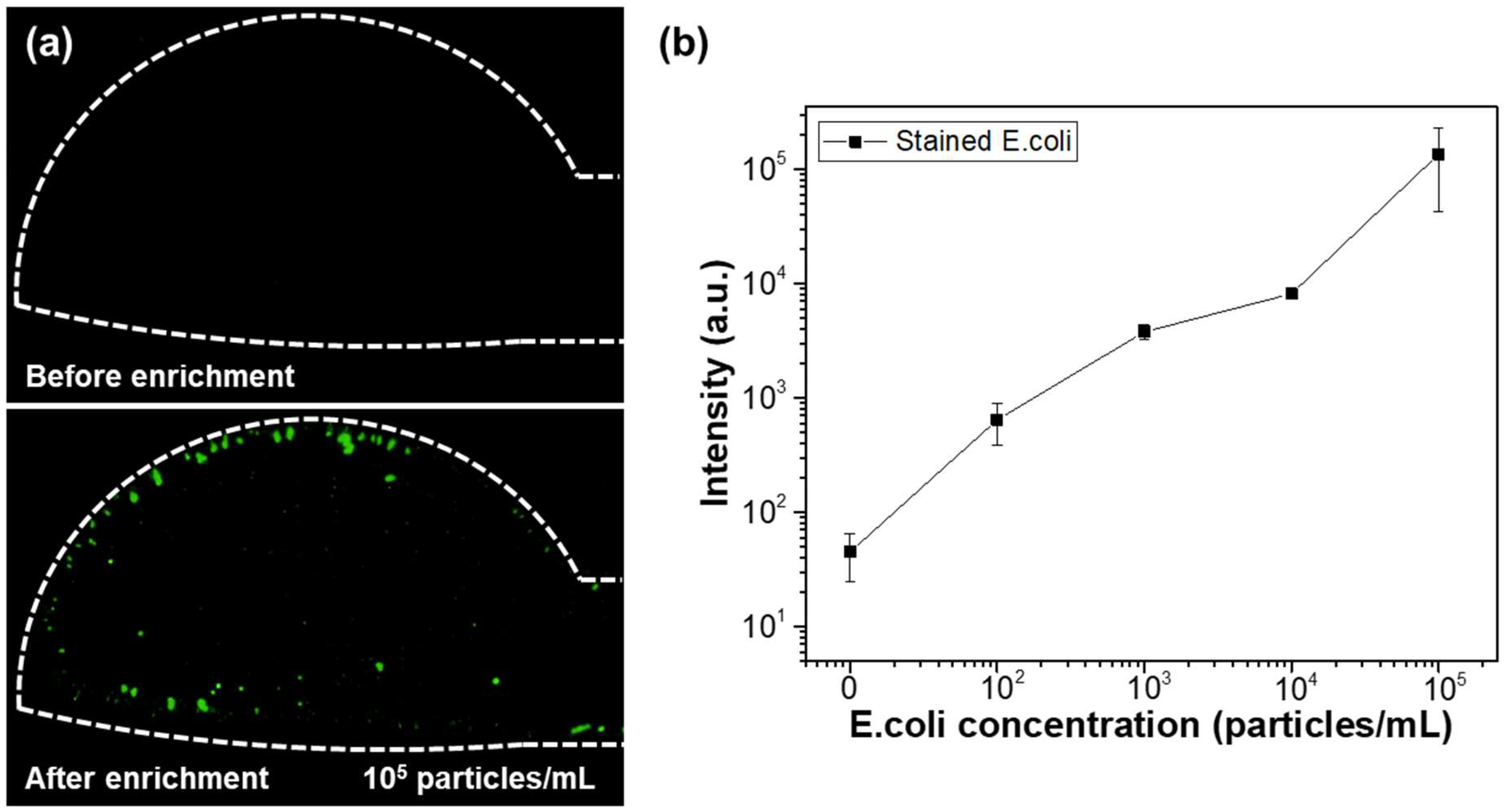 Micromachines 16 00158 g010