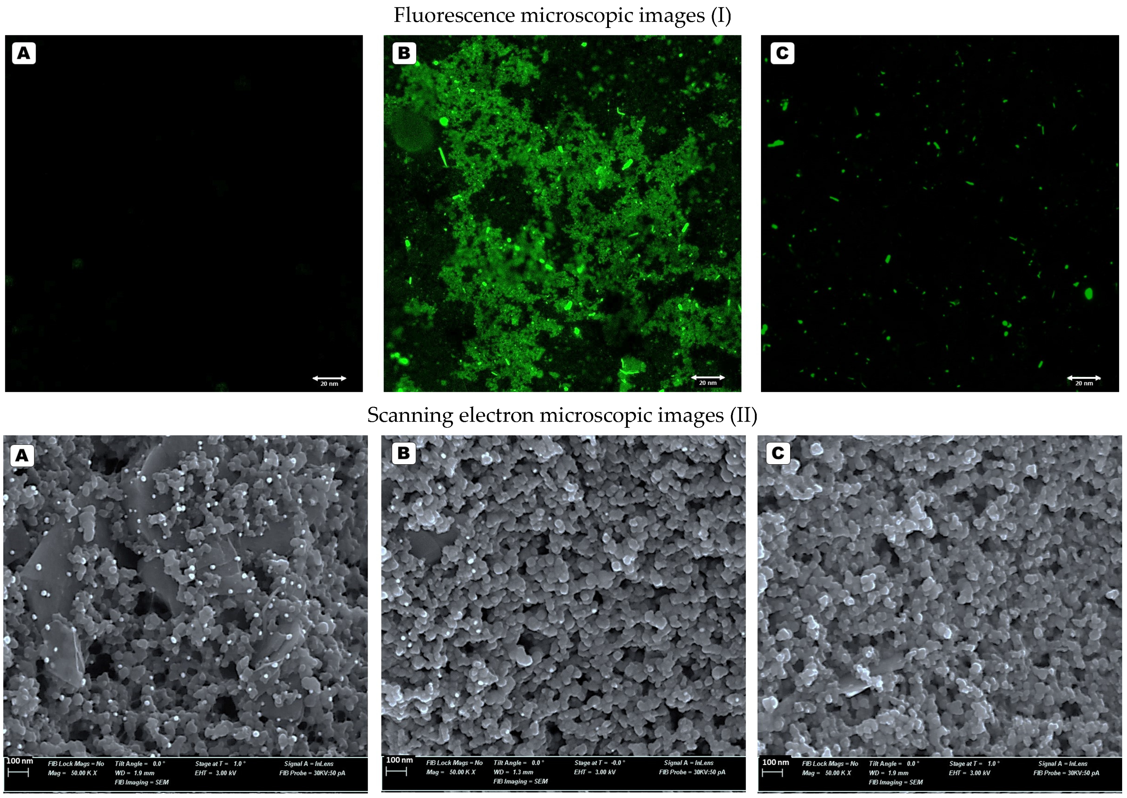 Micromachines 16 00162 g001