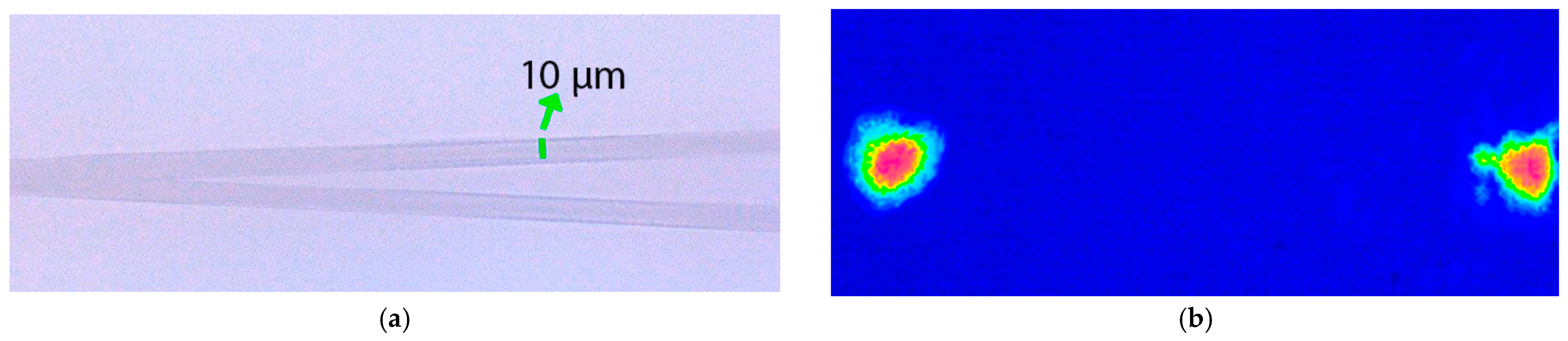 Micromachines 16 00171 g012