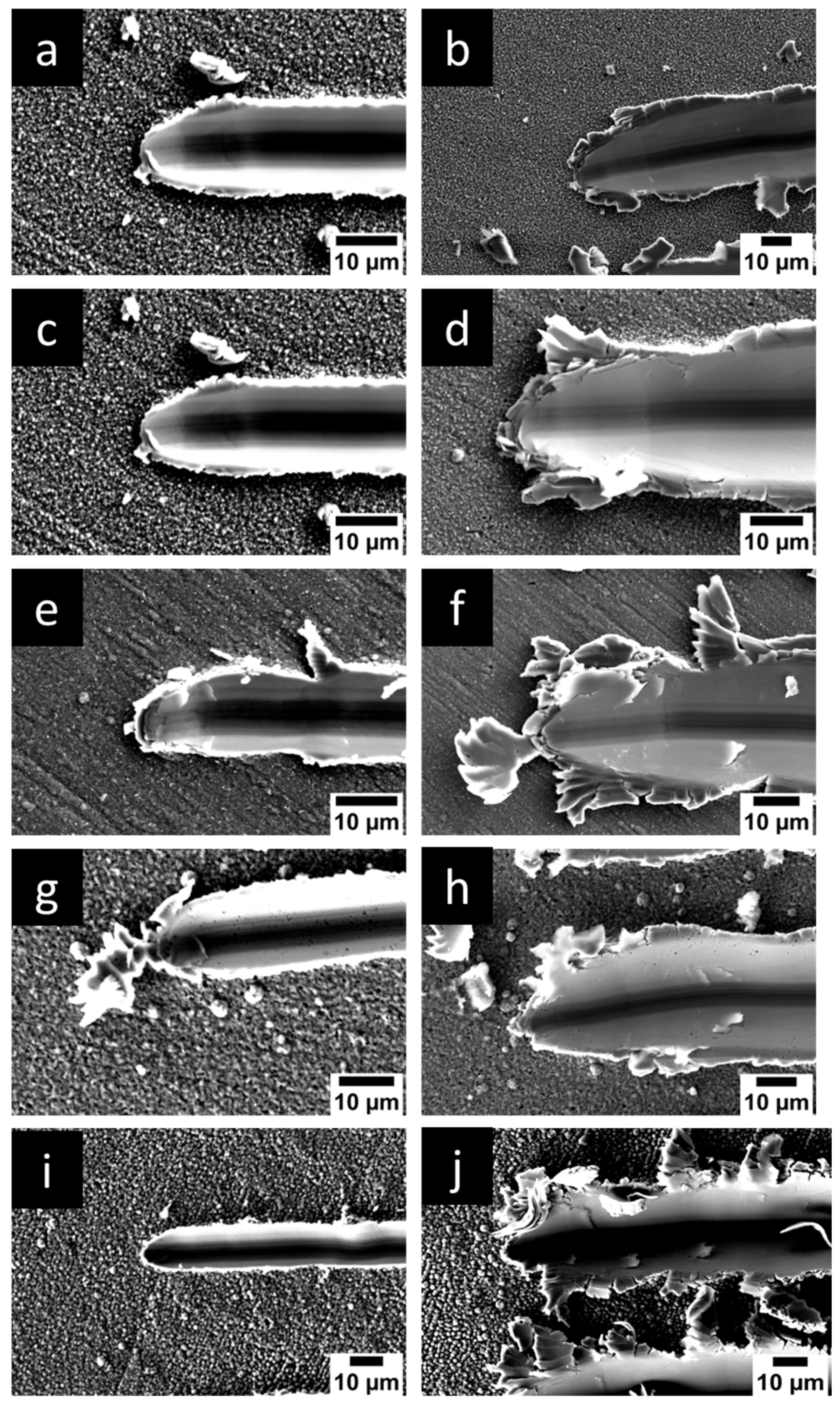 Micromachines 16 00175 g012