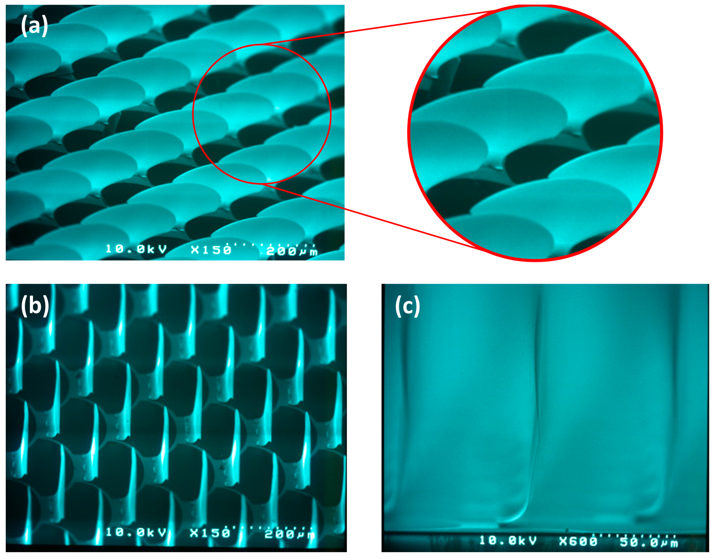 Micromachines 16 00176 g027
