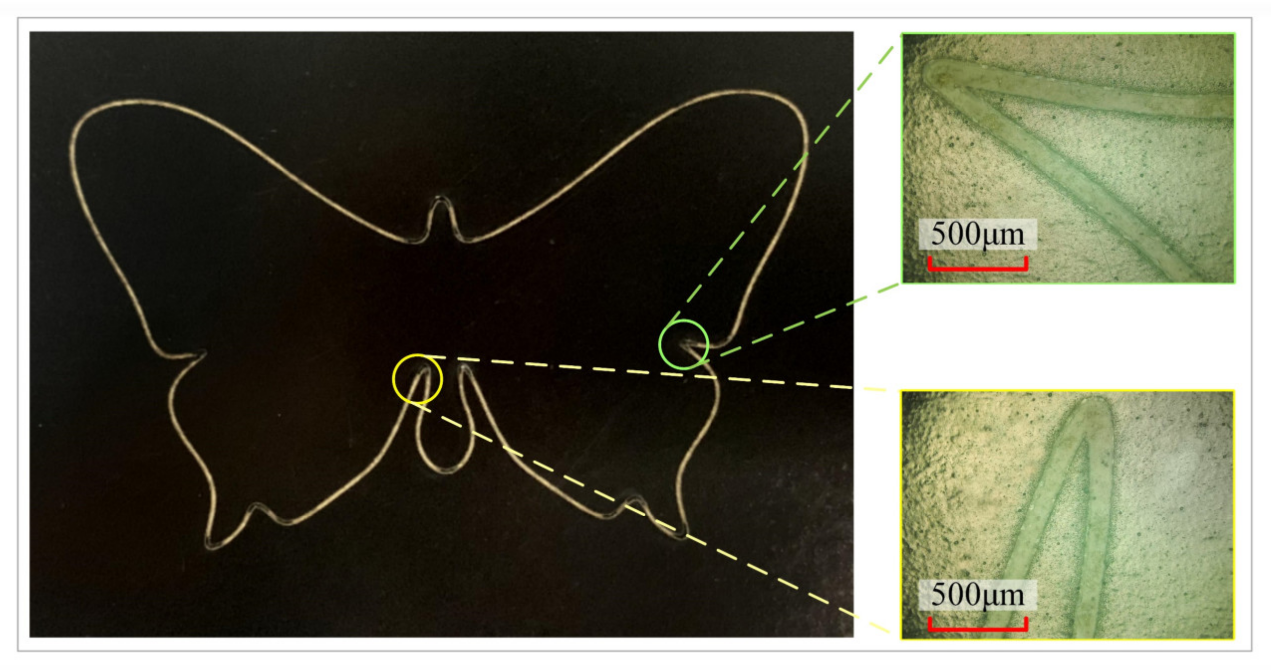 Micromachines 16 00177 g013