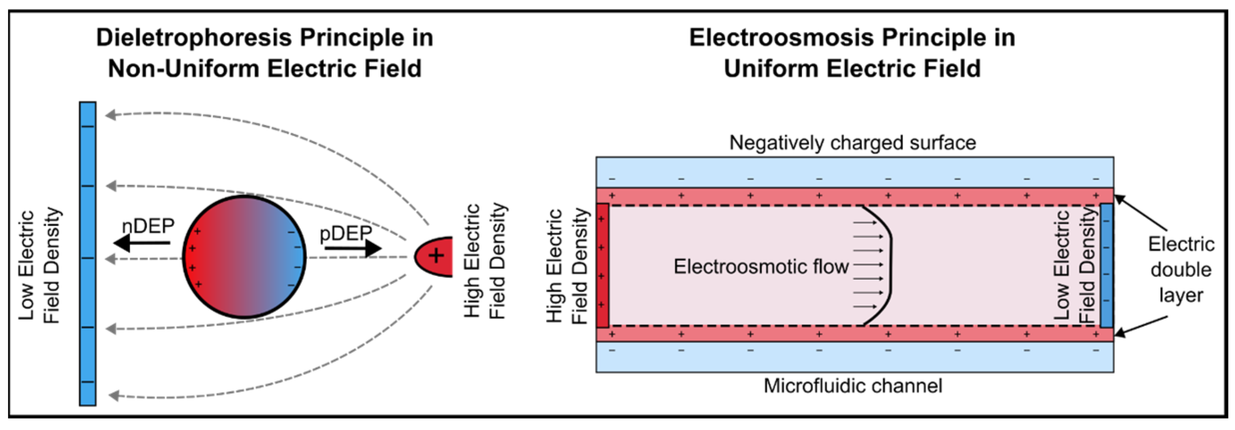 Micromachines 16 00190 g001