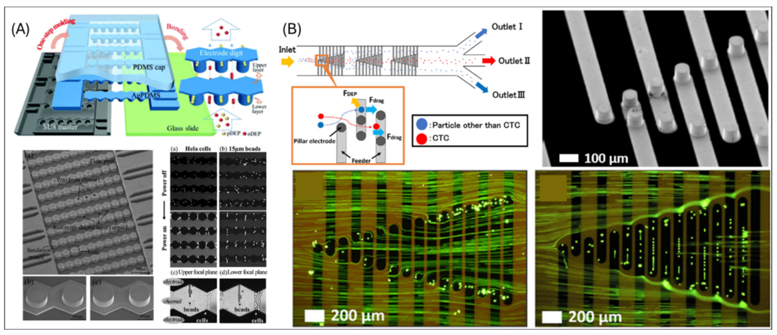 Micromachines 16 00190 g004