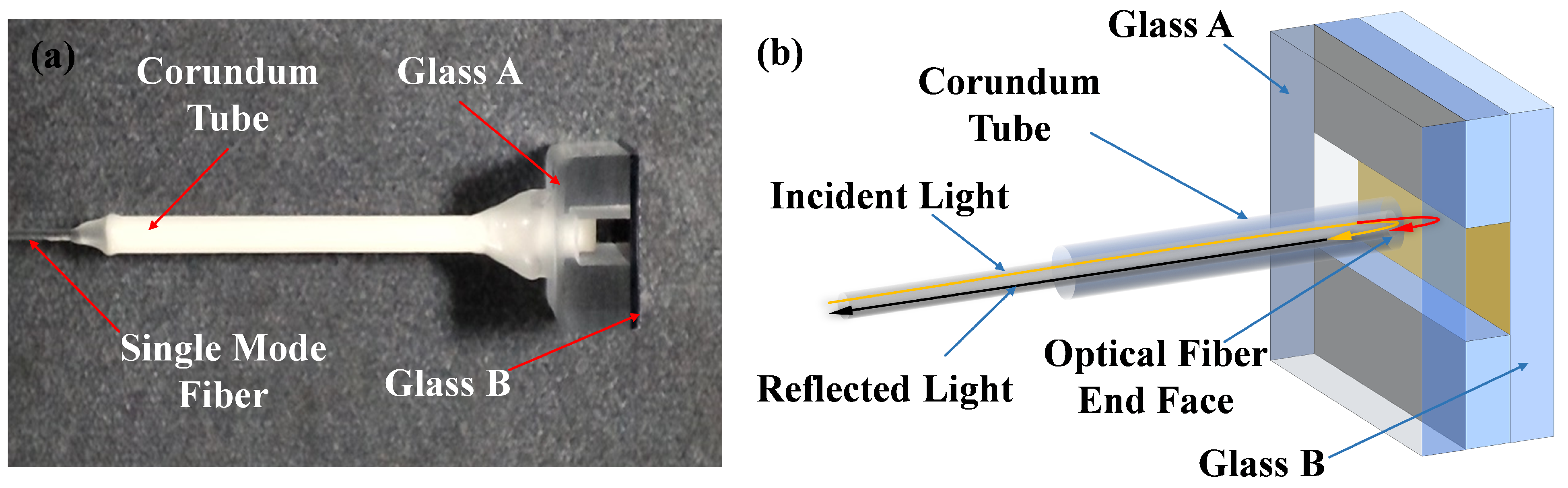 Micromachines 16 00196 g001