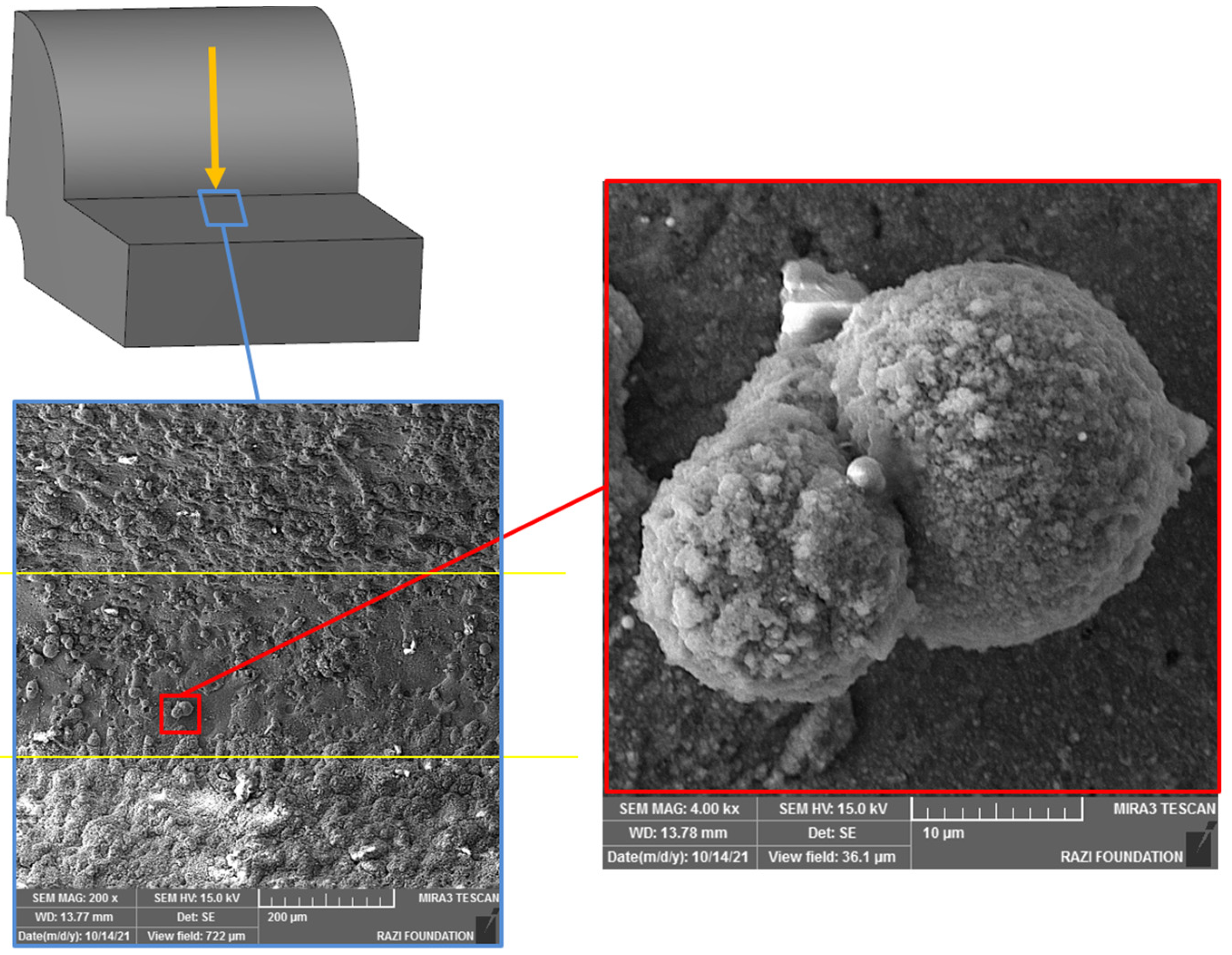 Micromachines 16 00227 g026