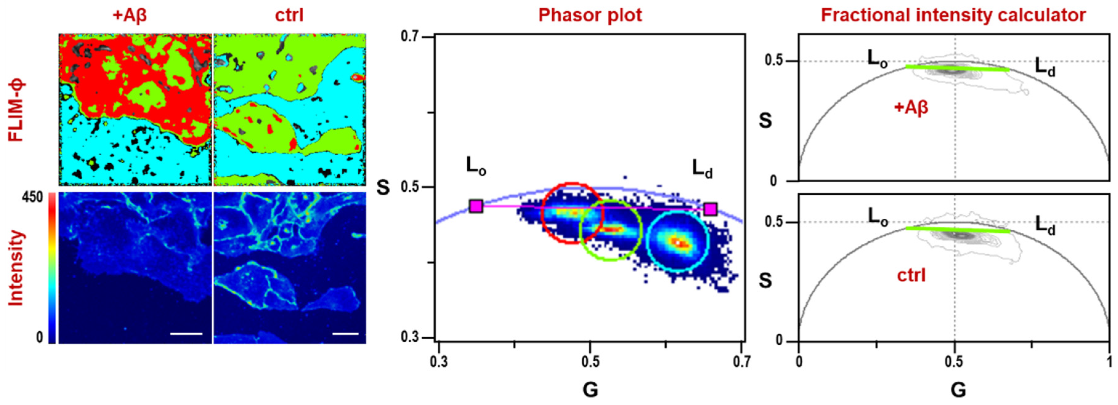 Micromachines 16 00234 g001 Micromachines 16 00234 g001