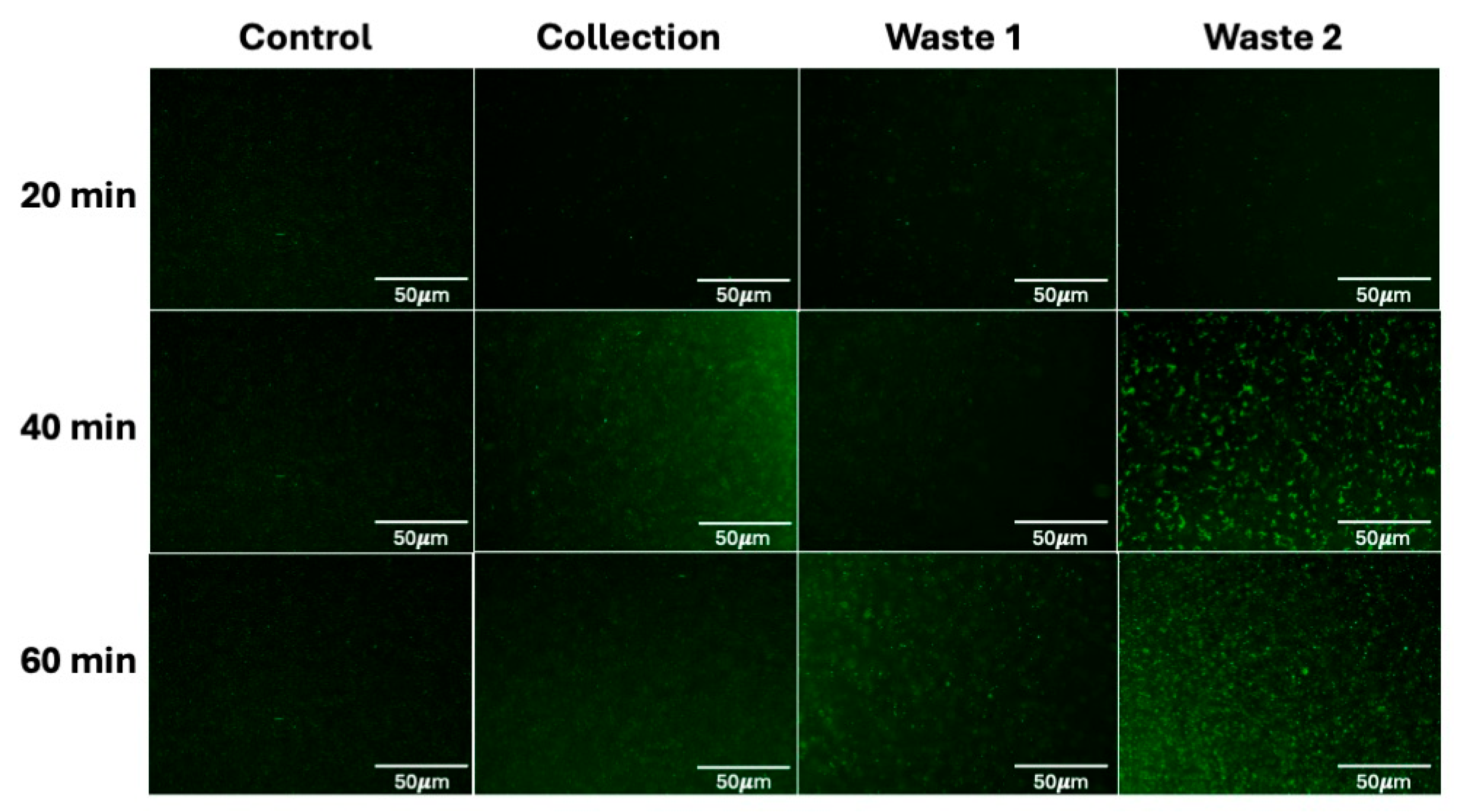 Micromachines 16 00236 g004