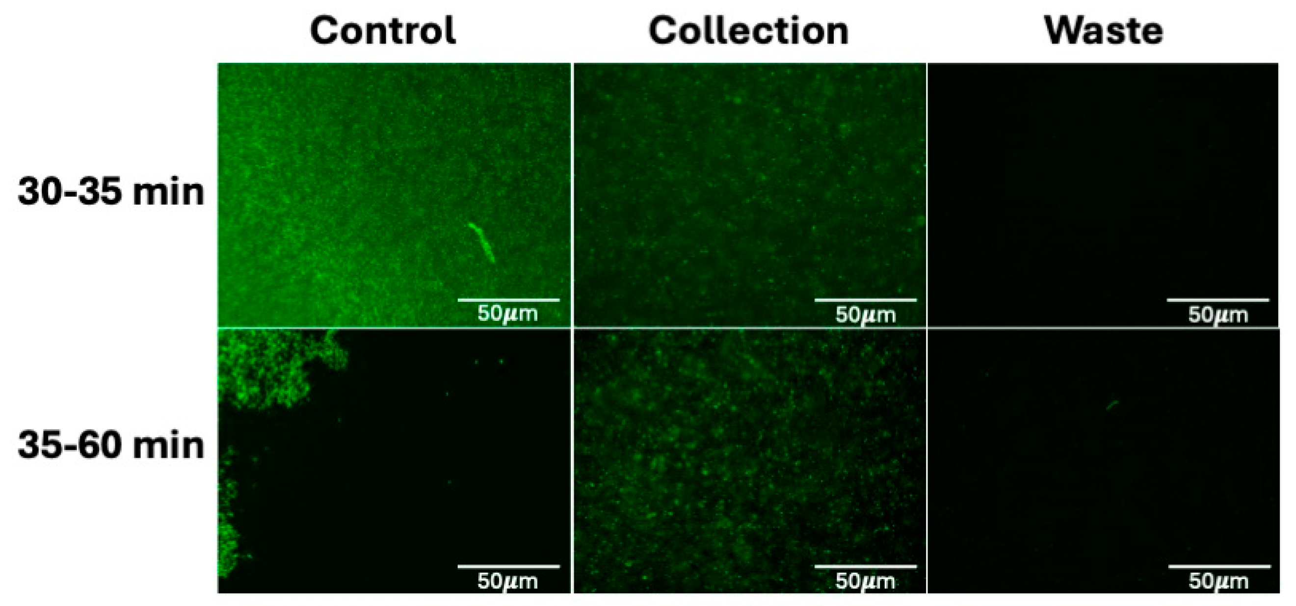 Micromachines 16 00236 g005