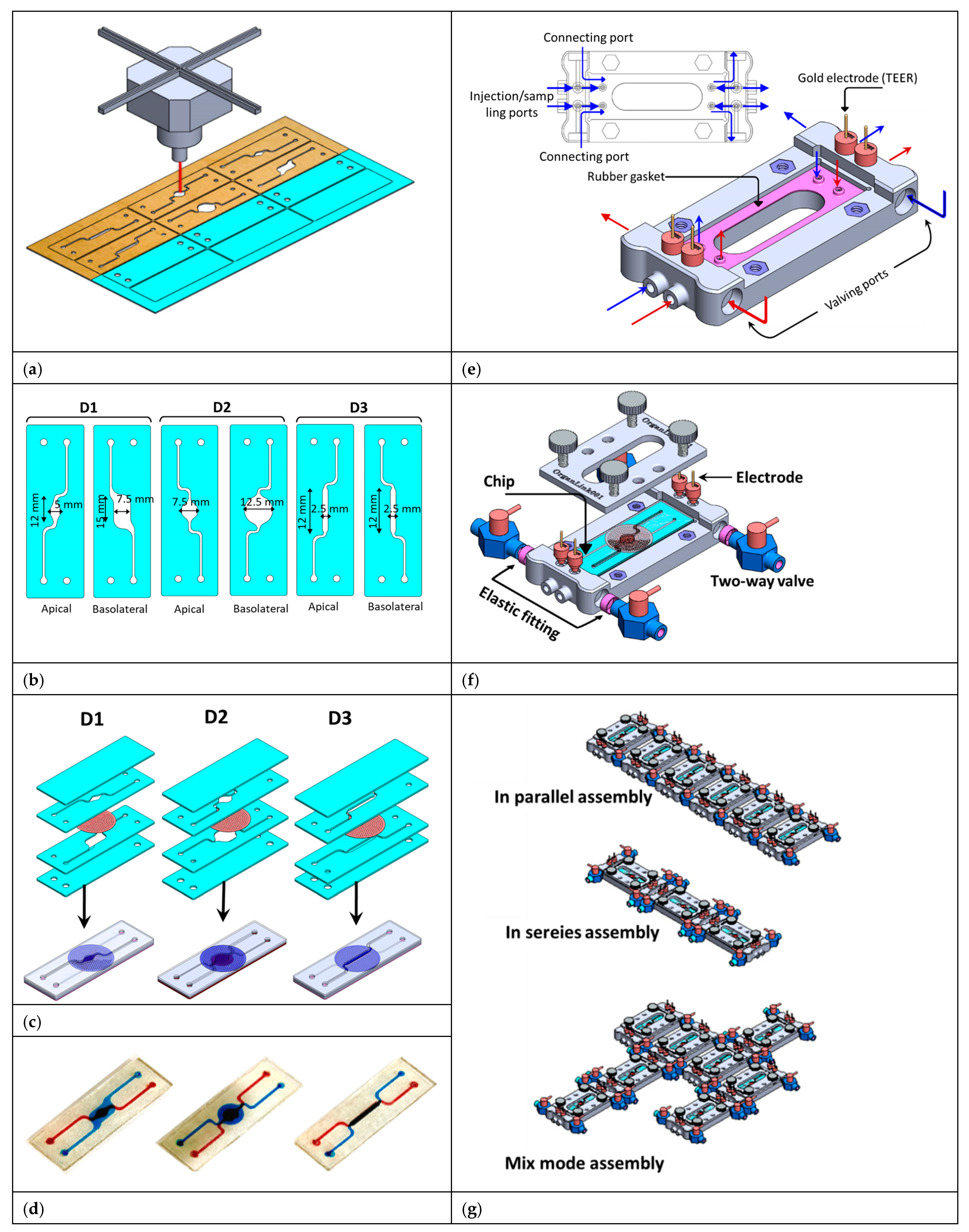 Micromachines 16 00237 g002