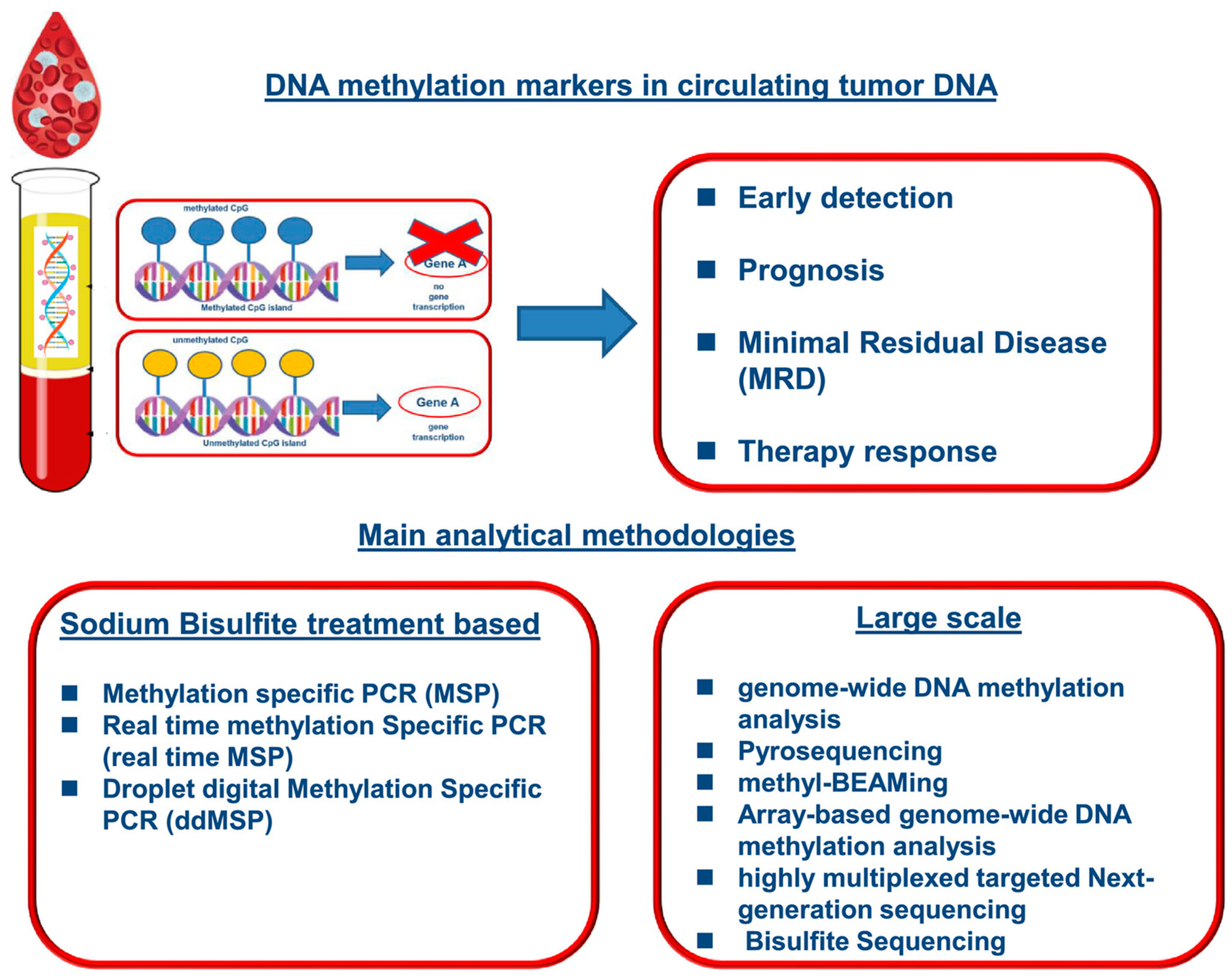 Micromachines 16 00243 g003