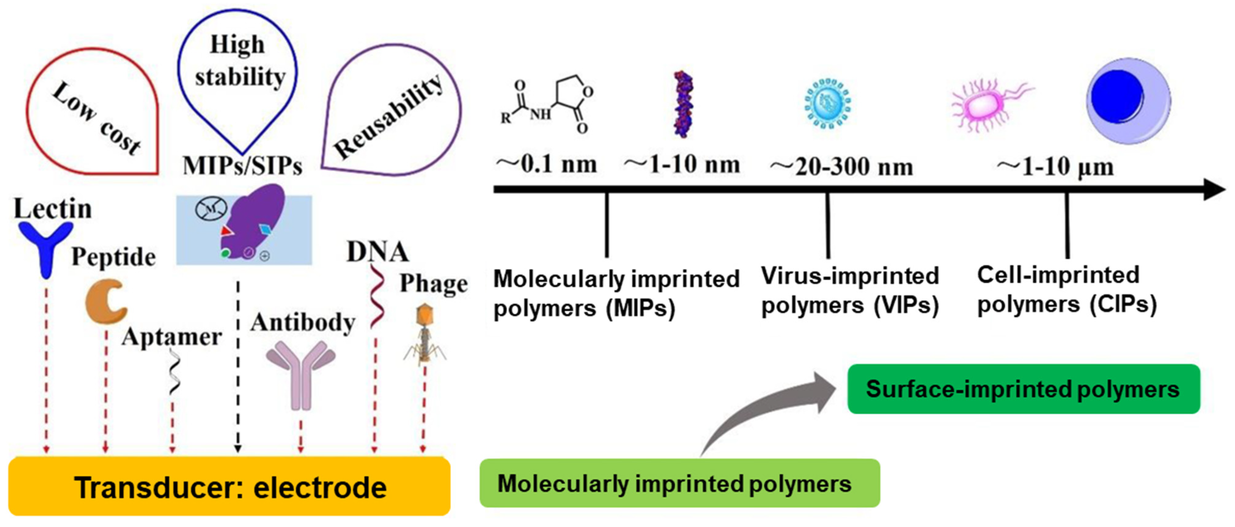 Micromachines 16 00251 g015