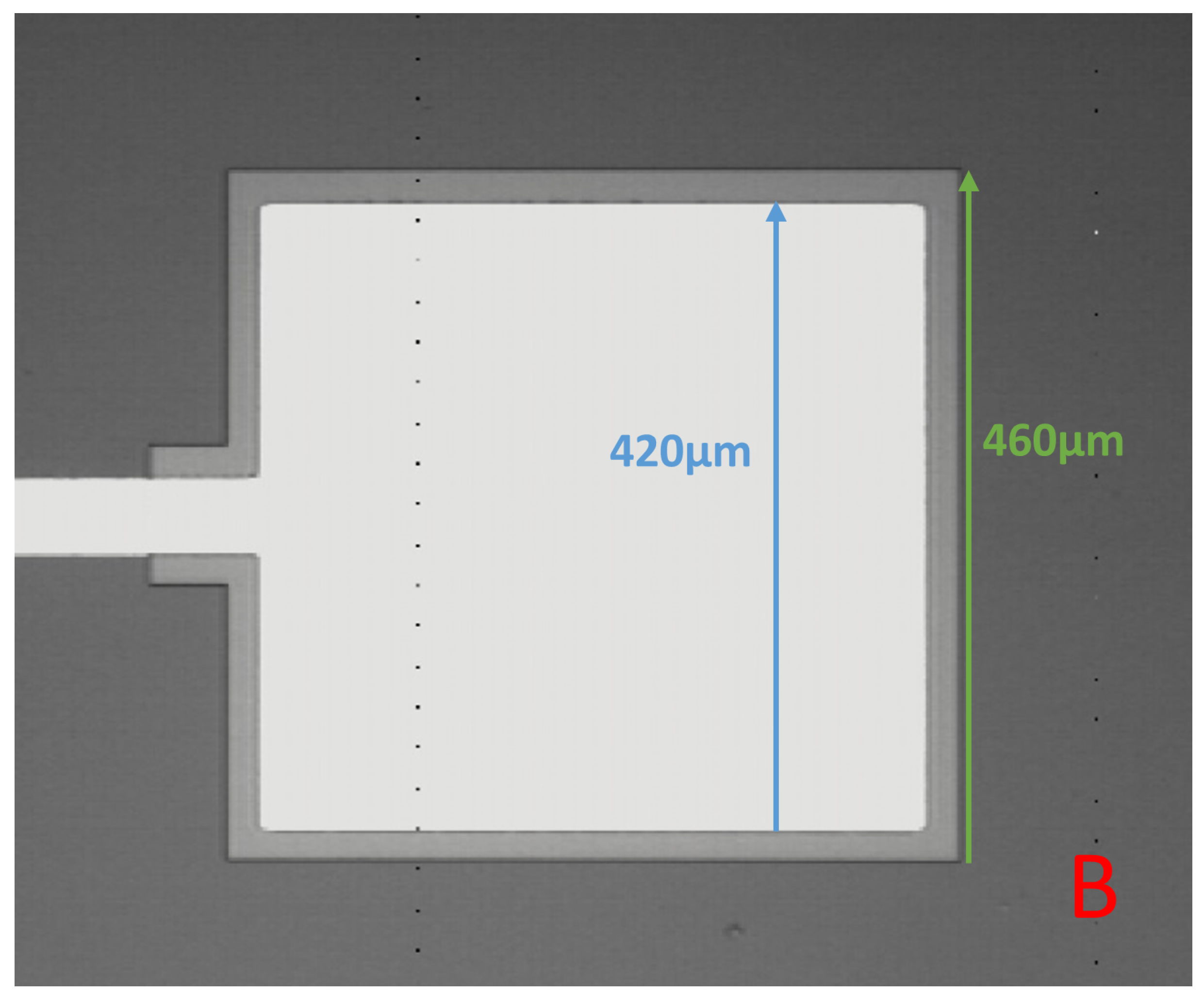 Micromachines 16 00255 g004b