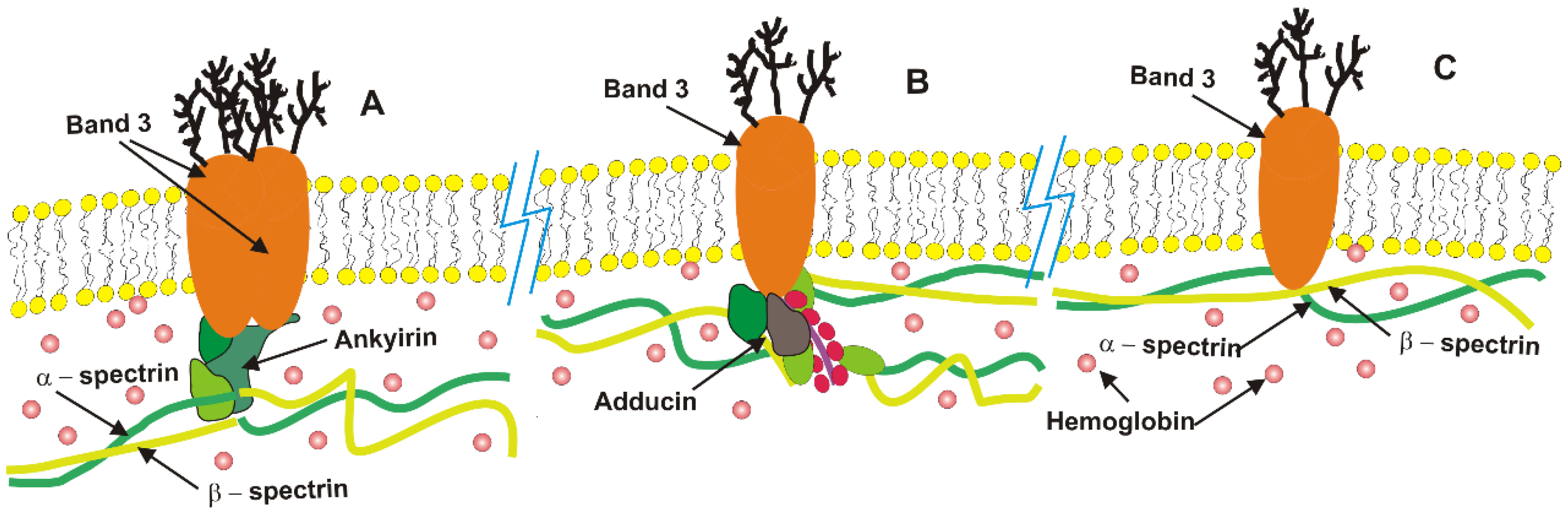 Micromachines 16 00259 g002 Micromachines 16 00259 g002