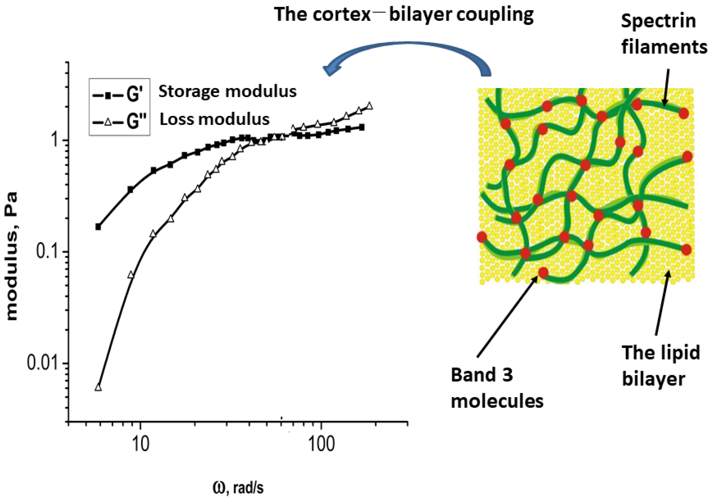 Micromachines 16 00259 g003 Micromachines 16 00259 g003