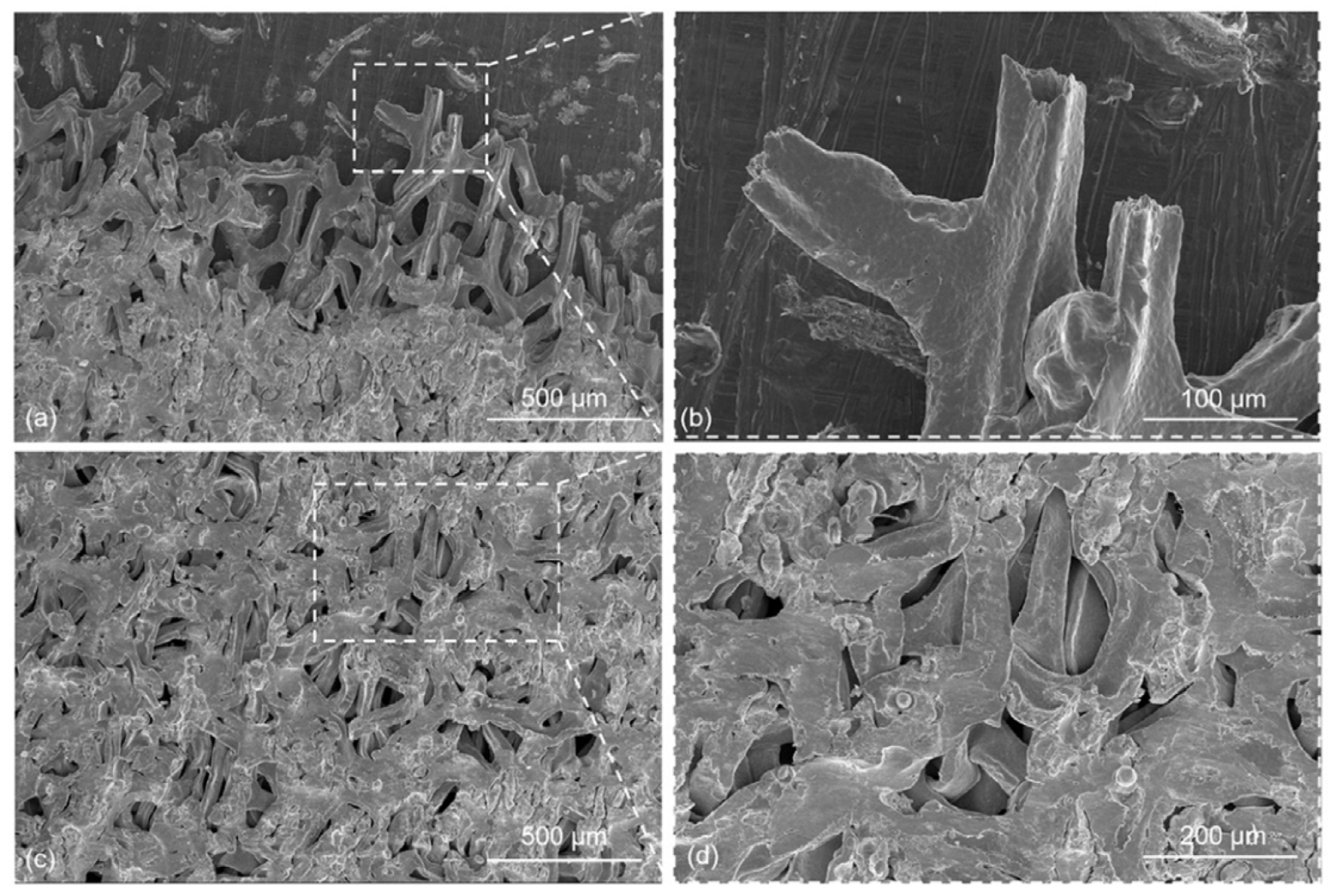 Micromachines 16 00263 g009