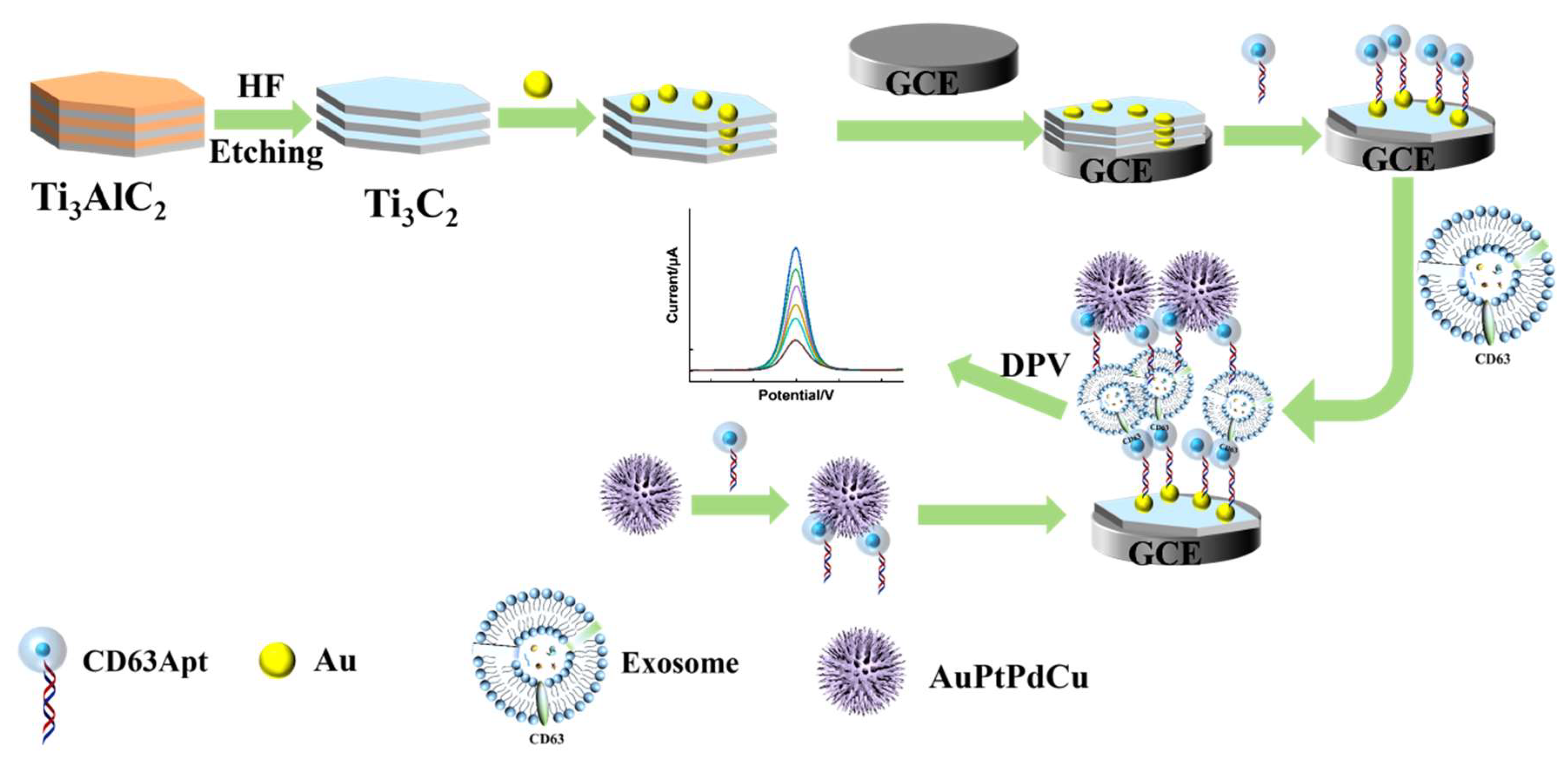 Micromachines 16 00280 g001