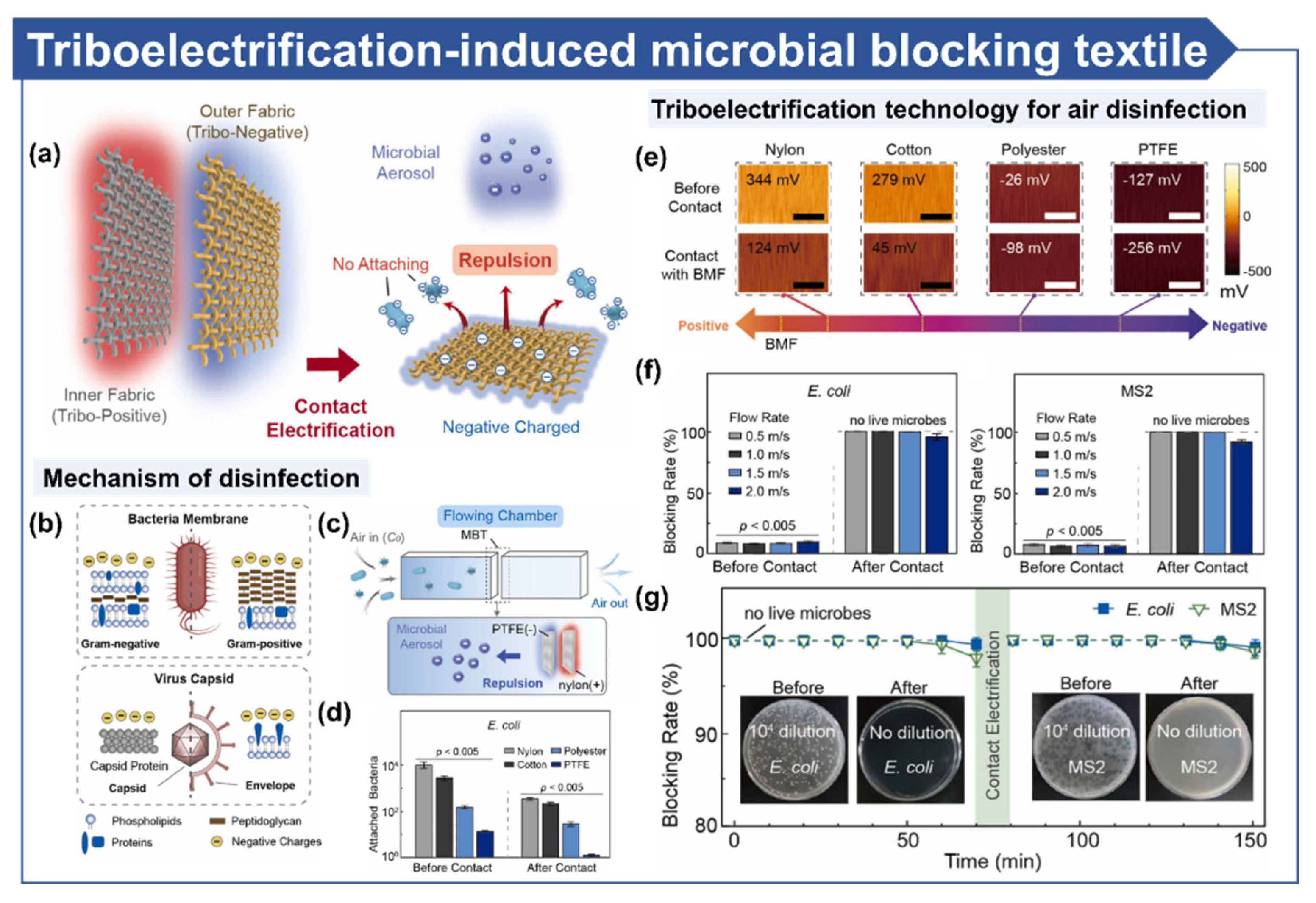 Micromachines 16 00281 g006