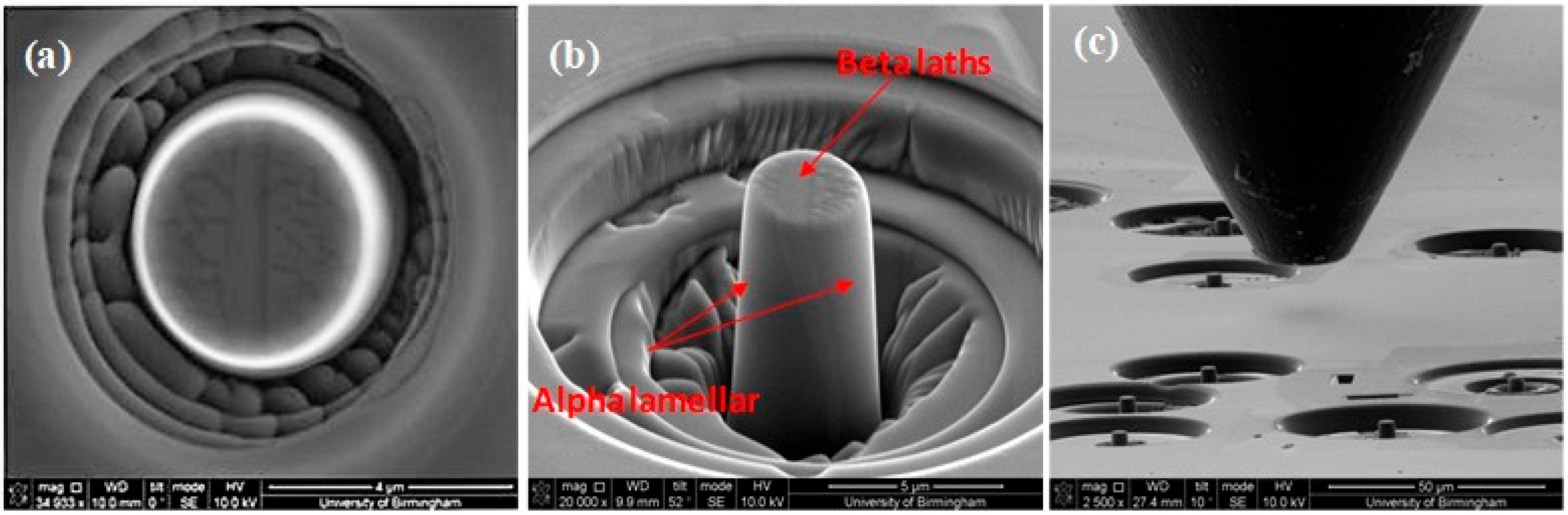 Micromachines 16 00293 g002