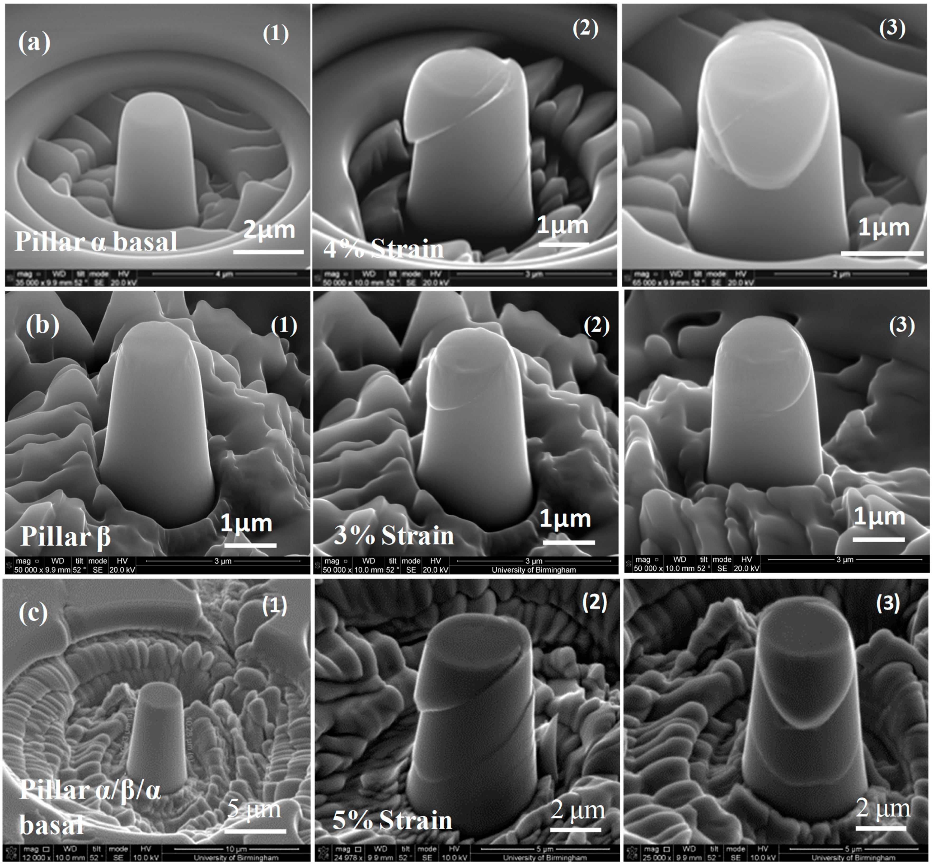 Micromachines 16 00293 g006