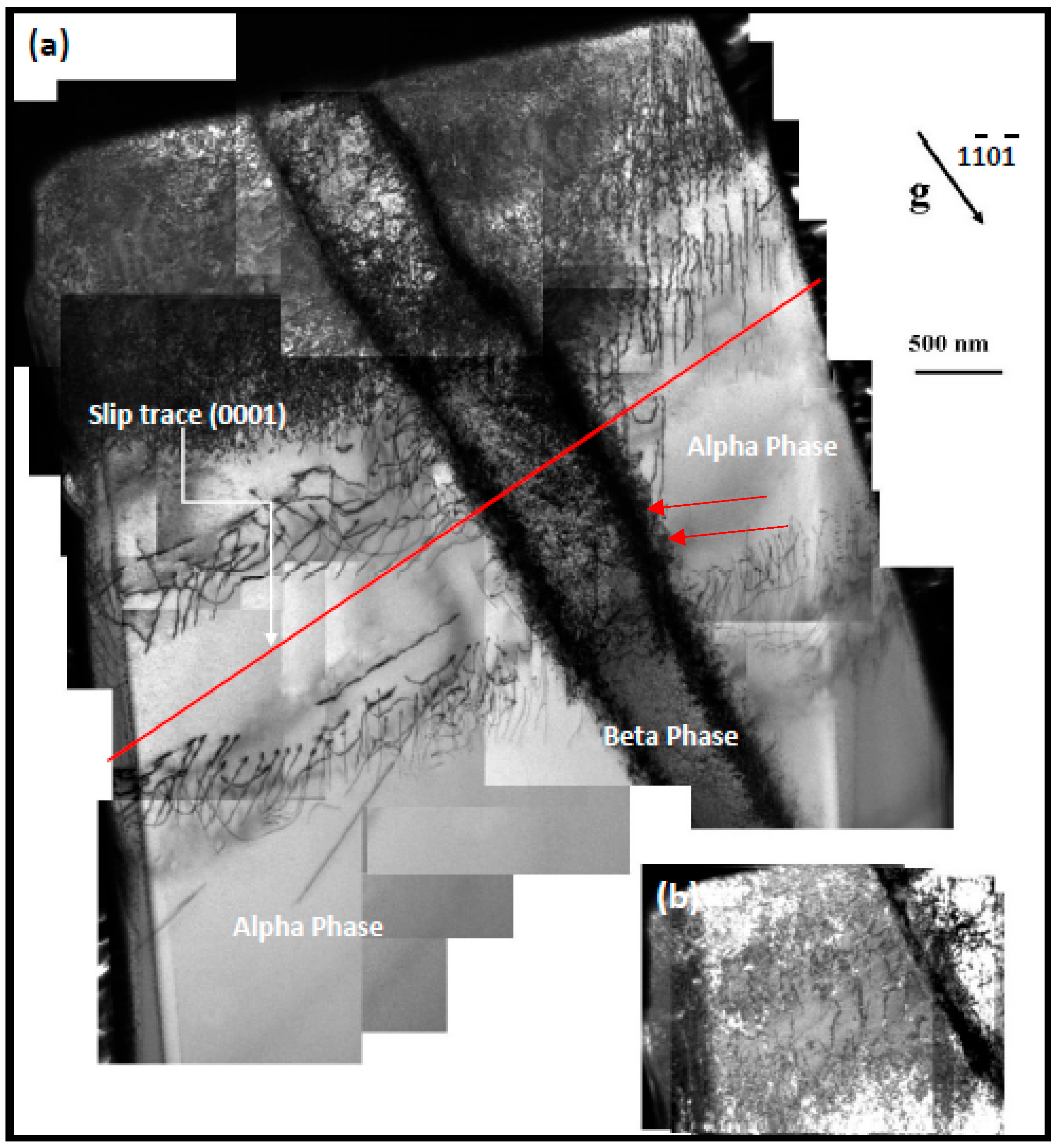 Micromachines 16 00293 g013