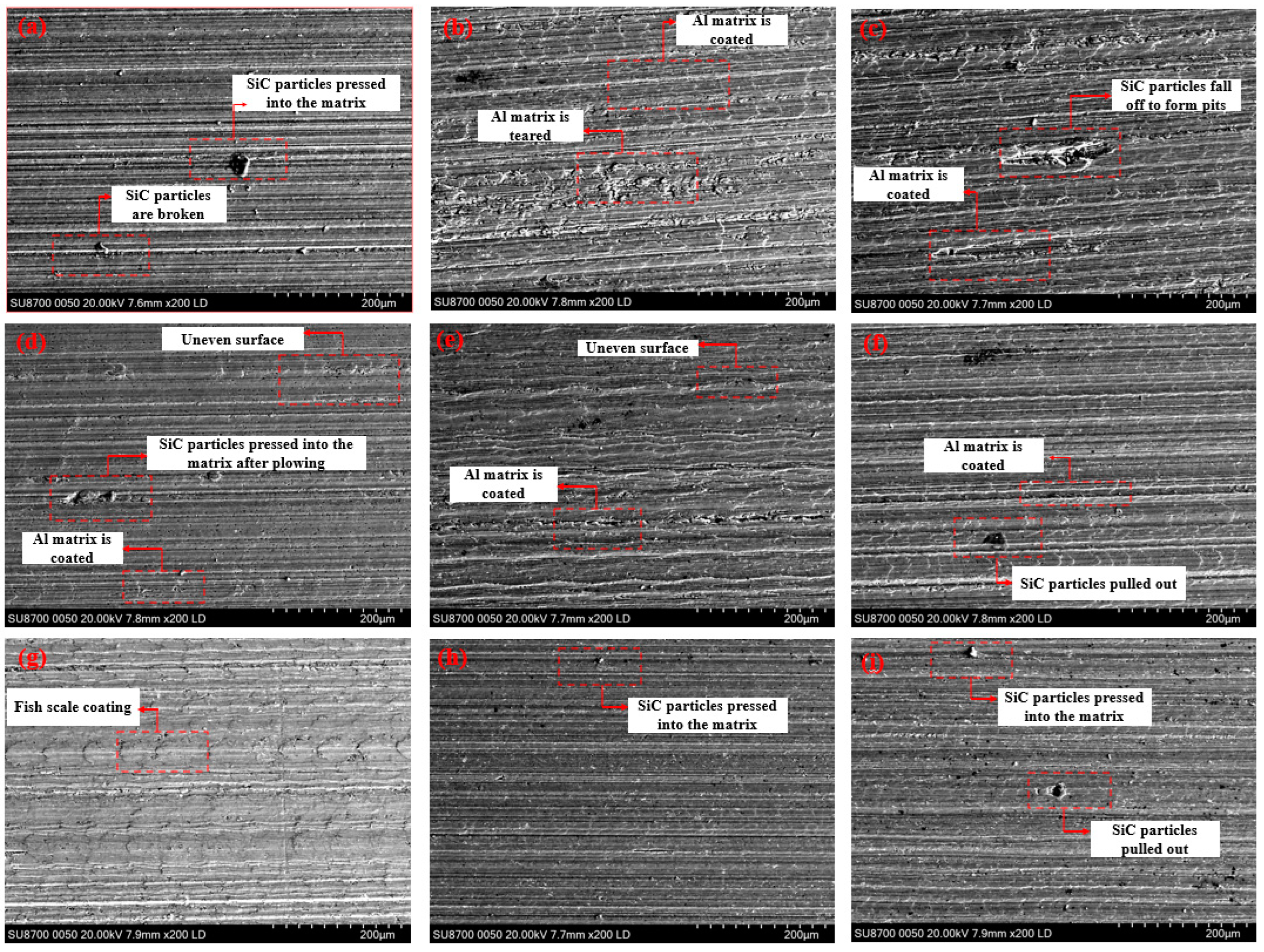 Micromachines 16 00302 g005