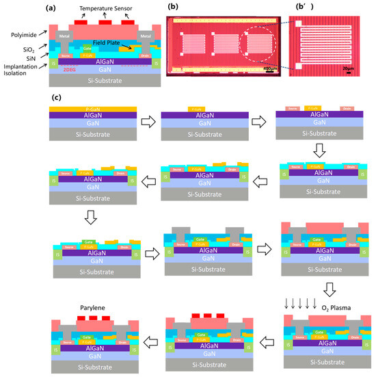 Gallium Nitride High Electron Mobility Transistor Device
