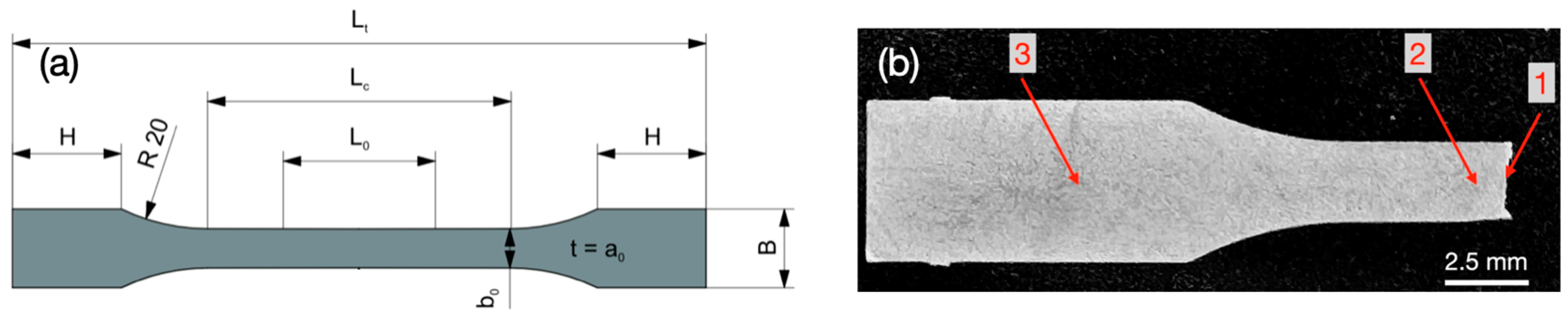 Micromachines 16 00309 g002 Micromachines 16 00309 g002