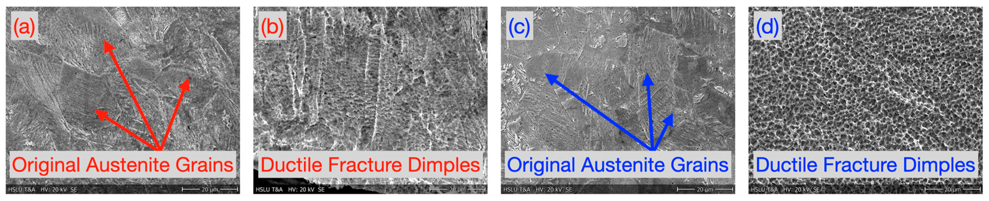 Micromachines 16 00309 g004 Micromachines 16 00309 g004