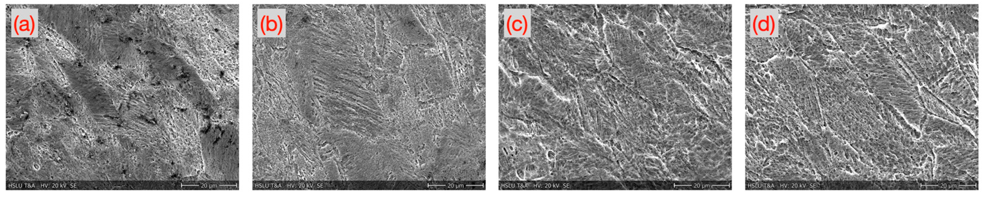 Micromachines 16 00309 g010 Micromachines 16 00309 g010