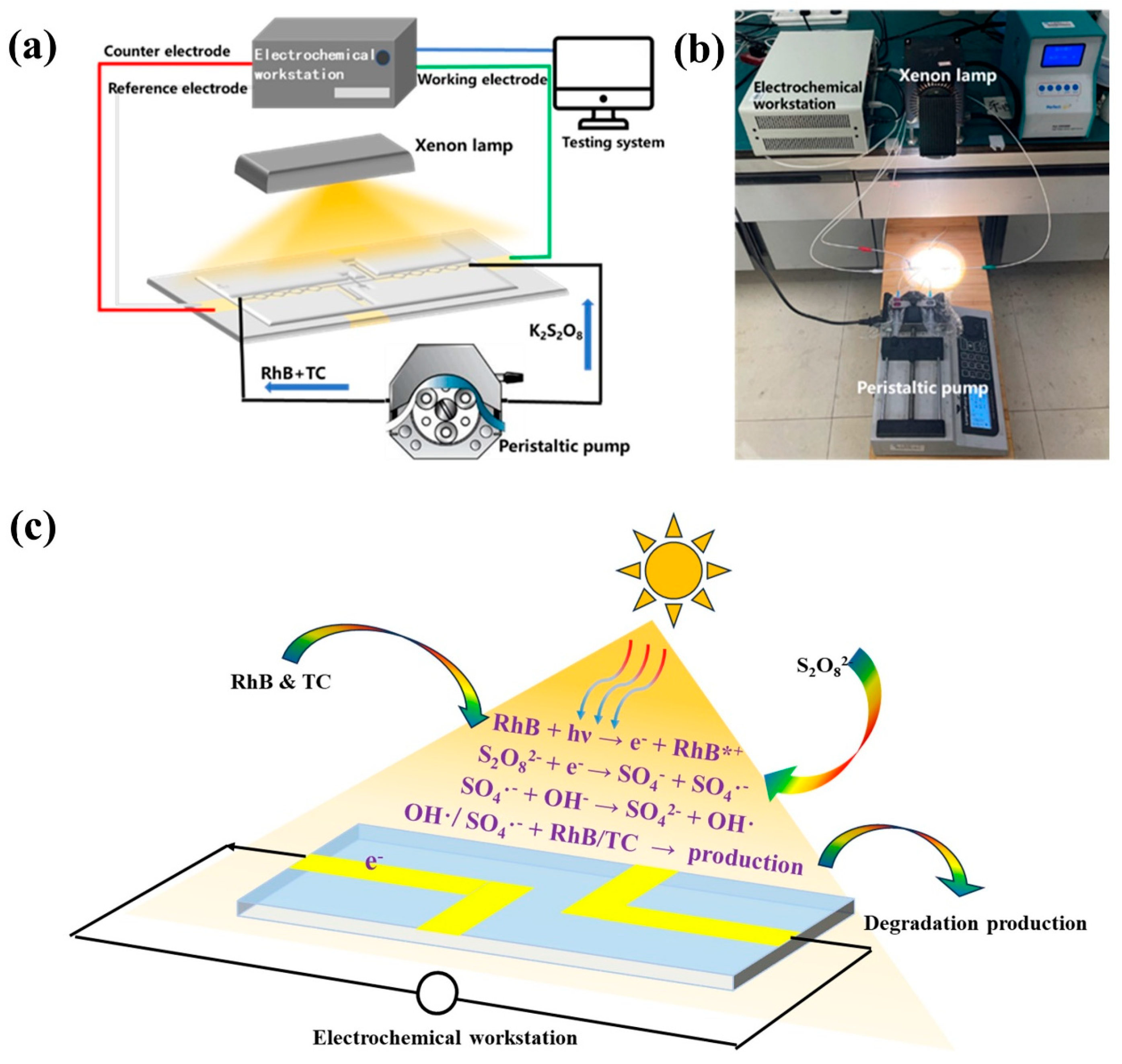 Micromachines 16 00312 g002