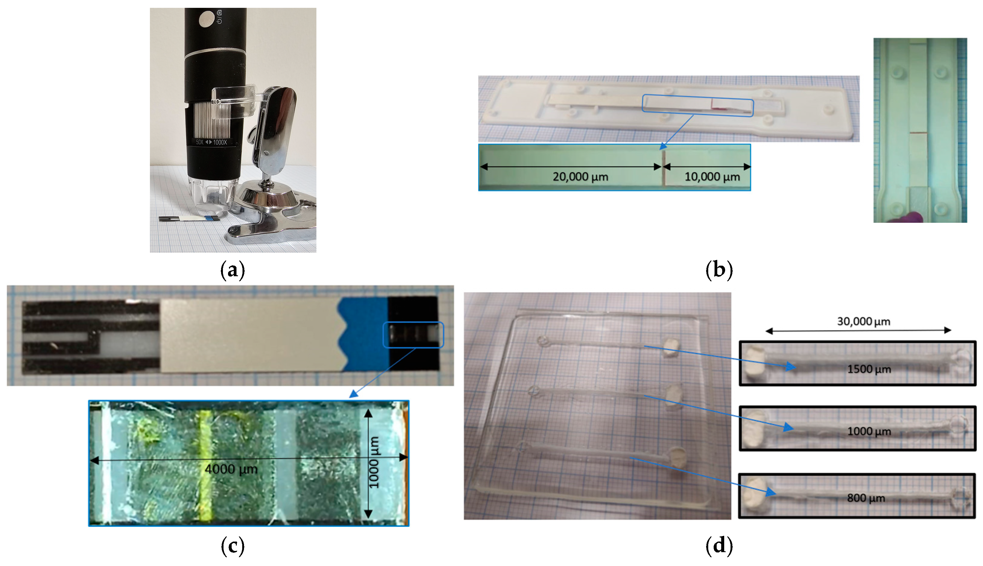 Micromachines 16 00316 g001