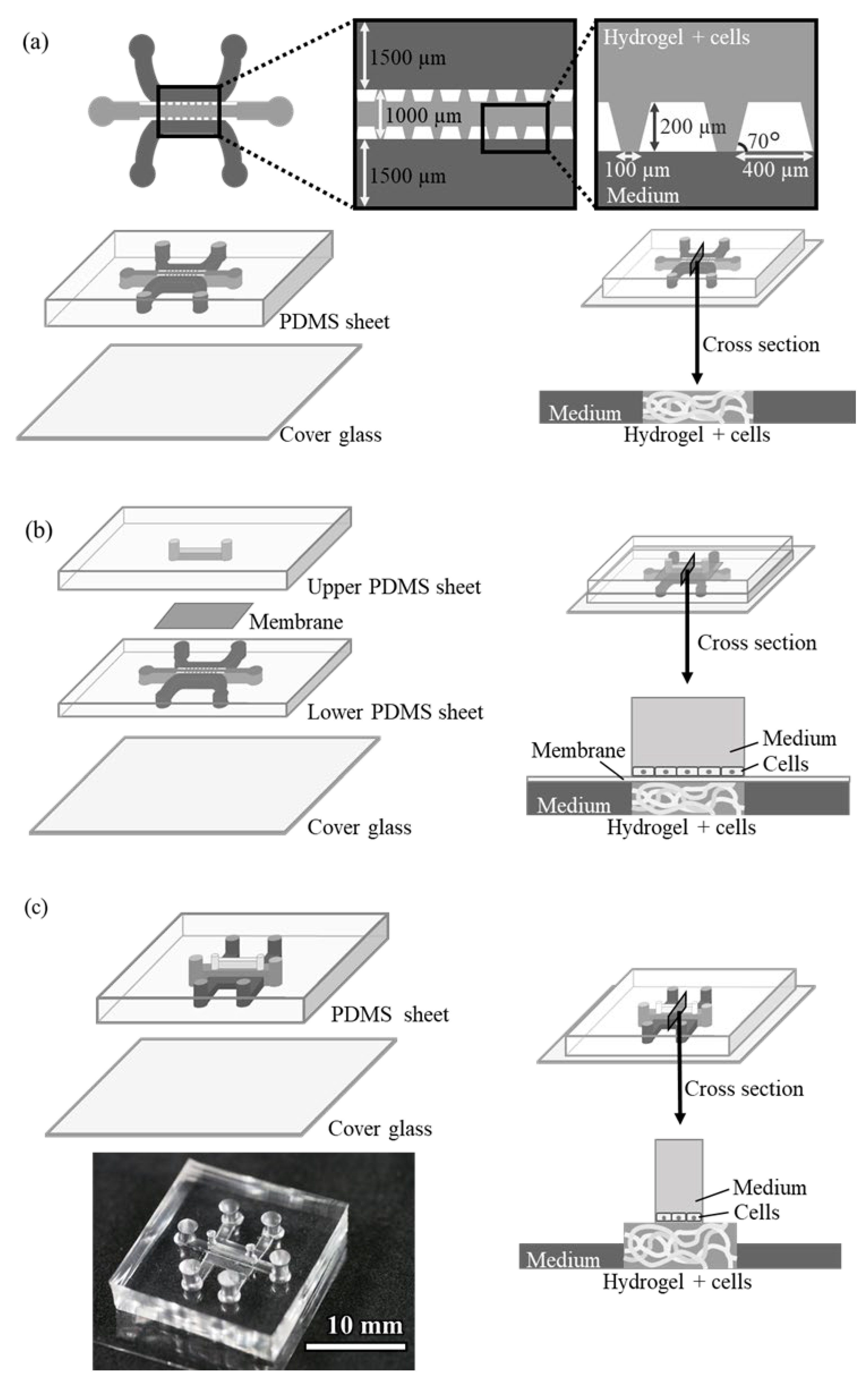 Micromachines 16 00324 g001
