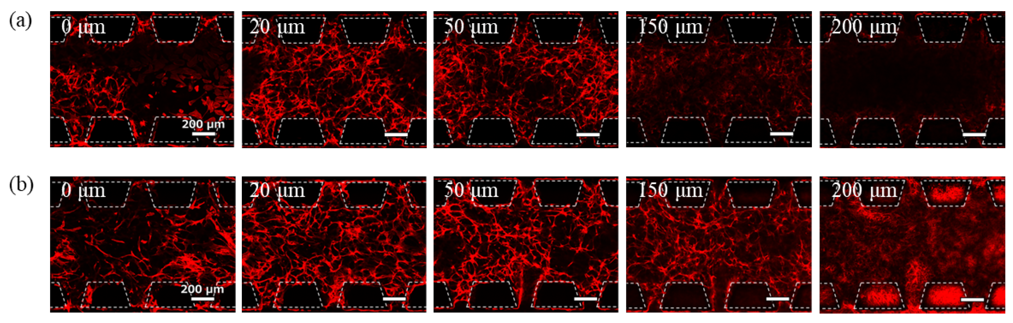 Micromachines 16 00324 g005