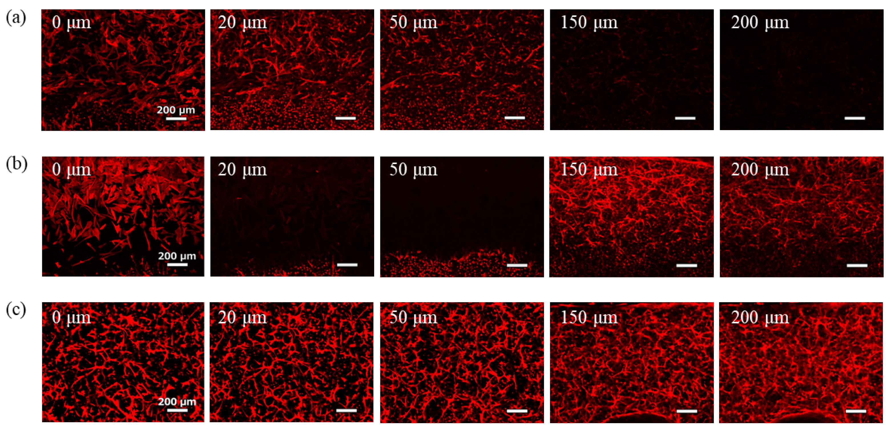 Micromachines 16 00324 g006