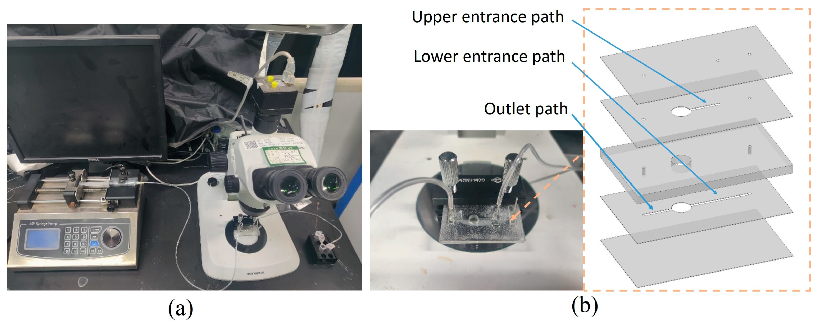 Micromachines 16 00332 g005