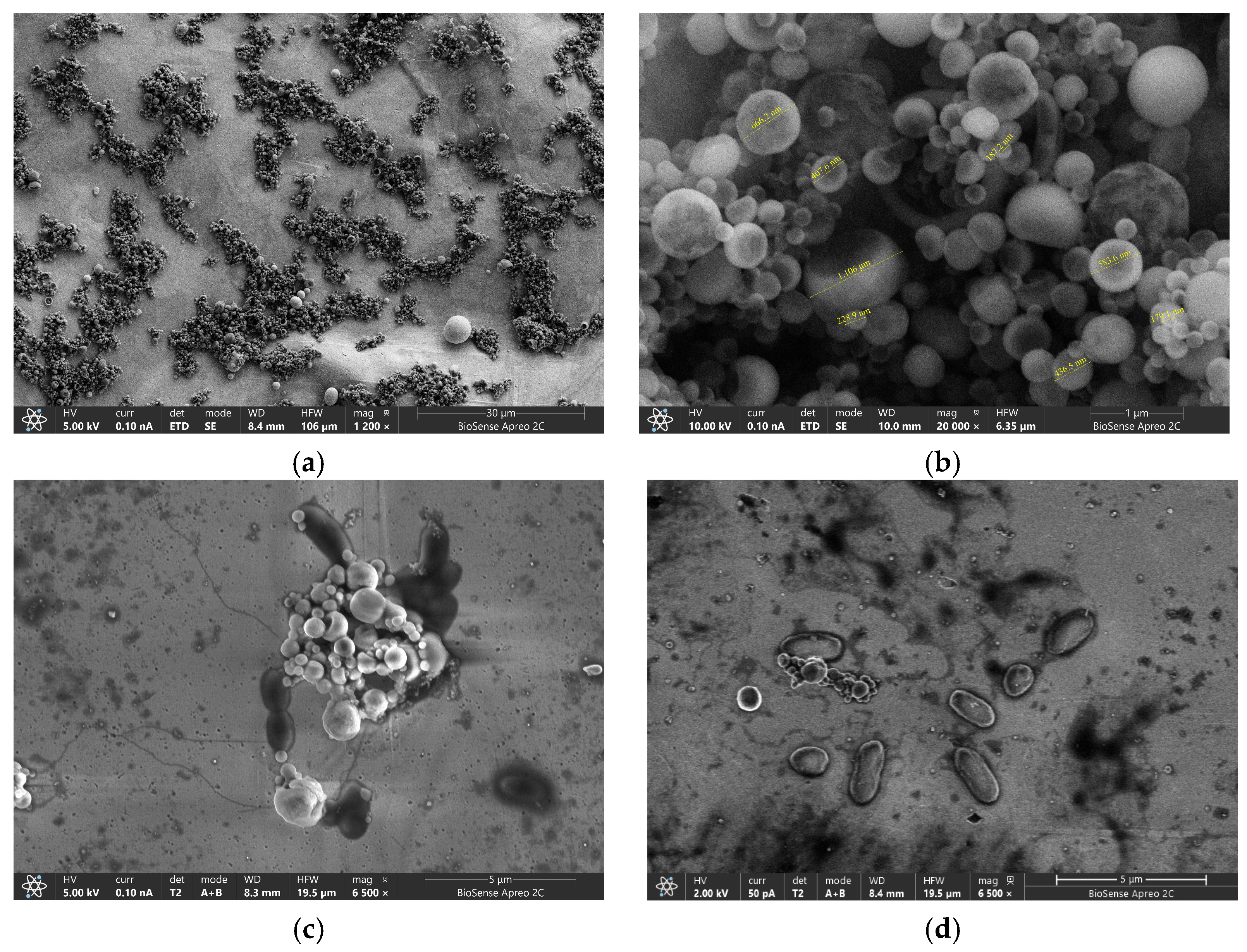Micromachines 16 00343 g008