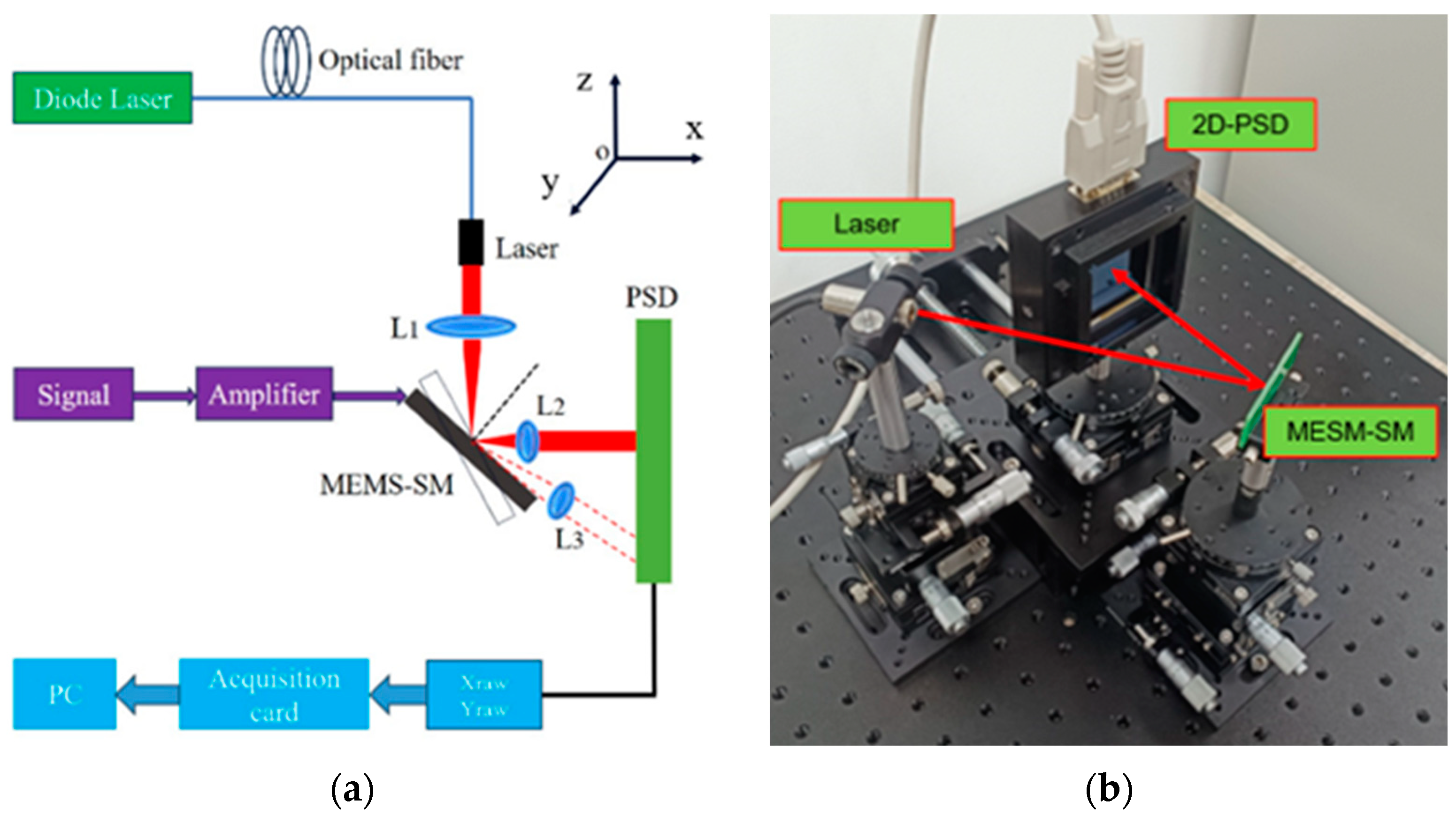 Micromachines 16 00348 g001