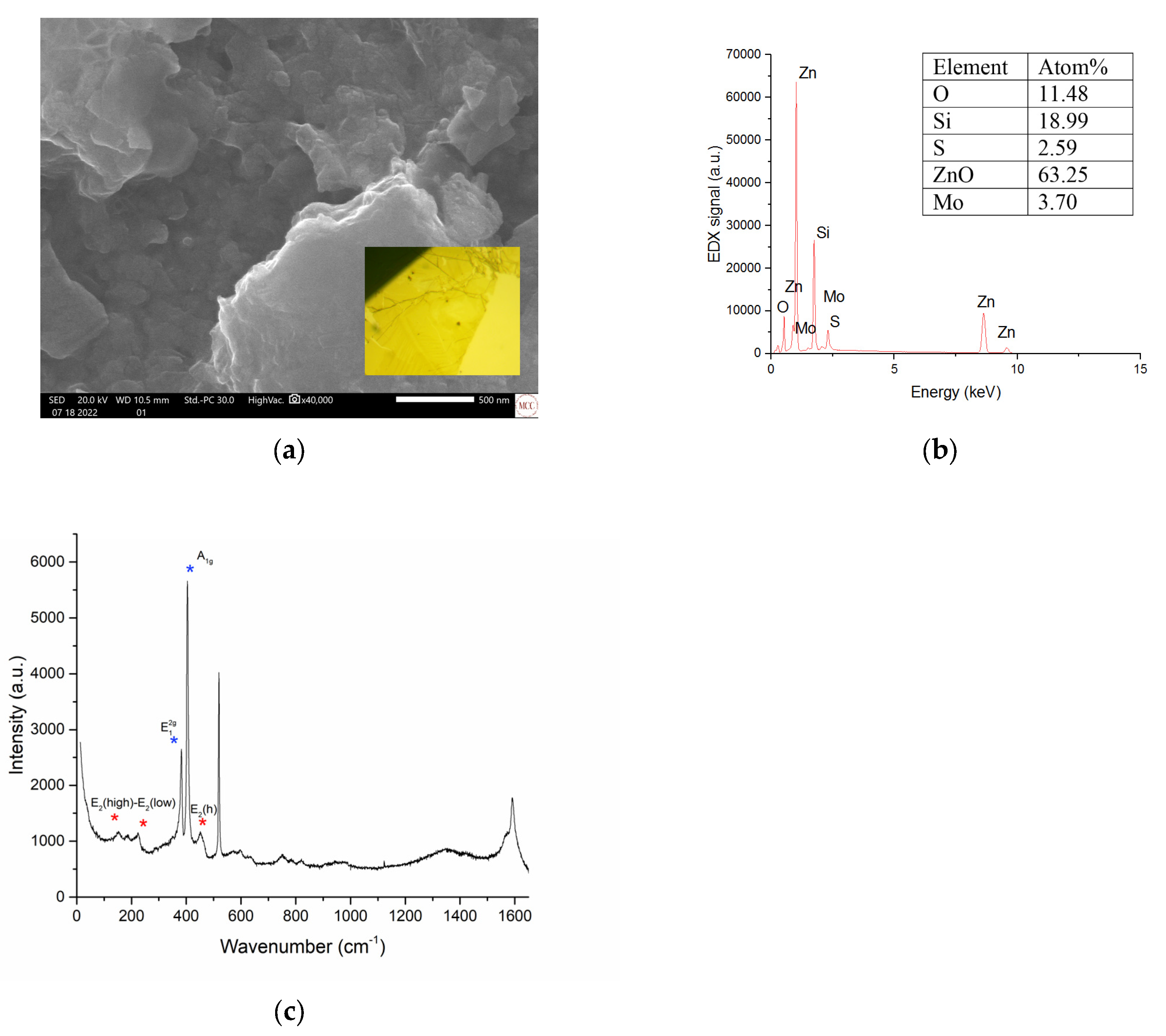 Micromachines 16 00358 g003