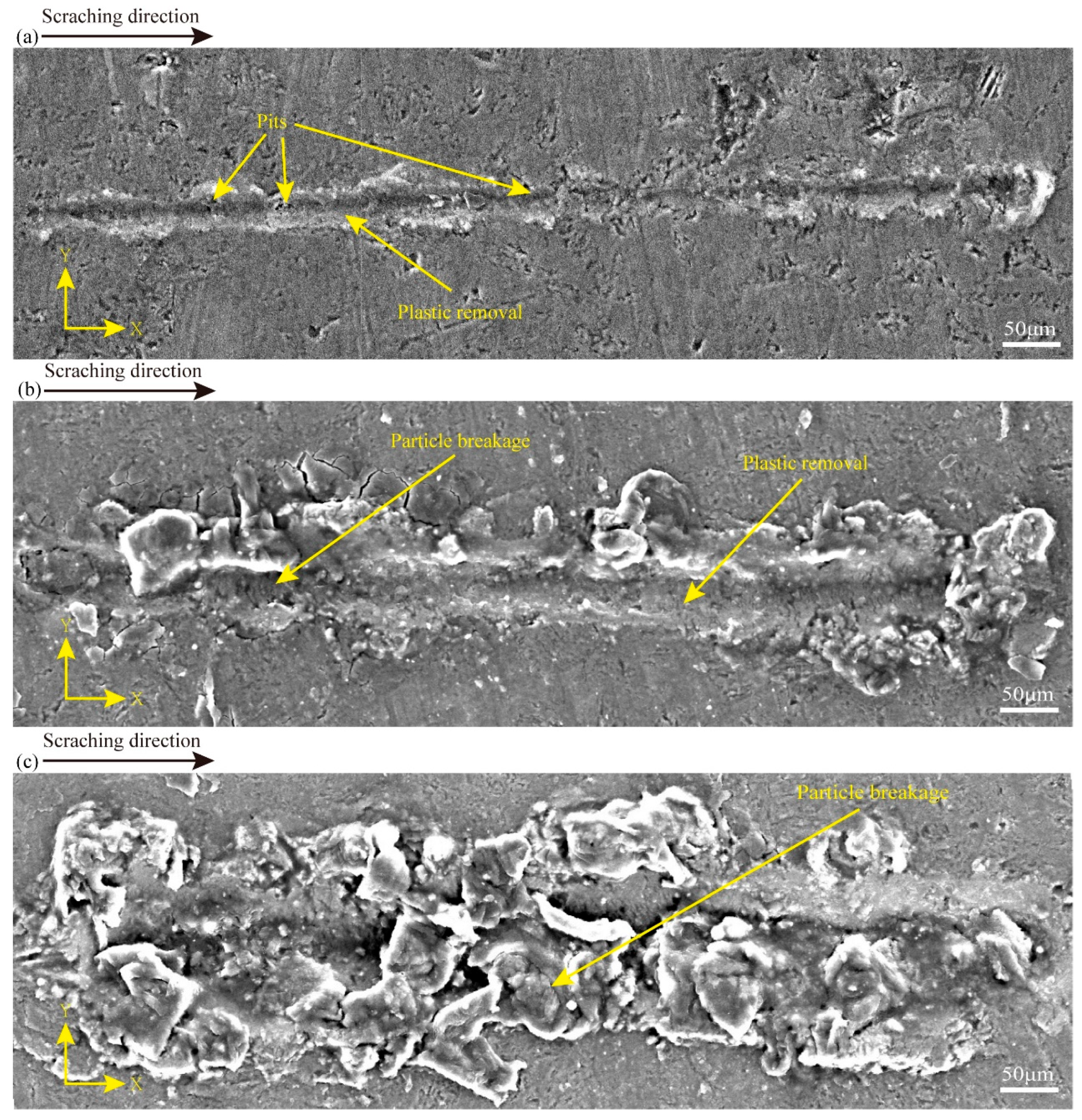 Micromachines 16 00360 g004