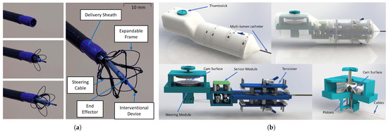 Advanced Robotics for the Next-Generation of Cardiac Interventions