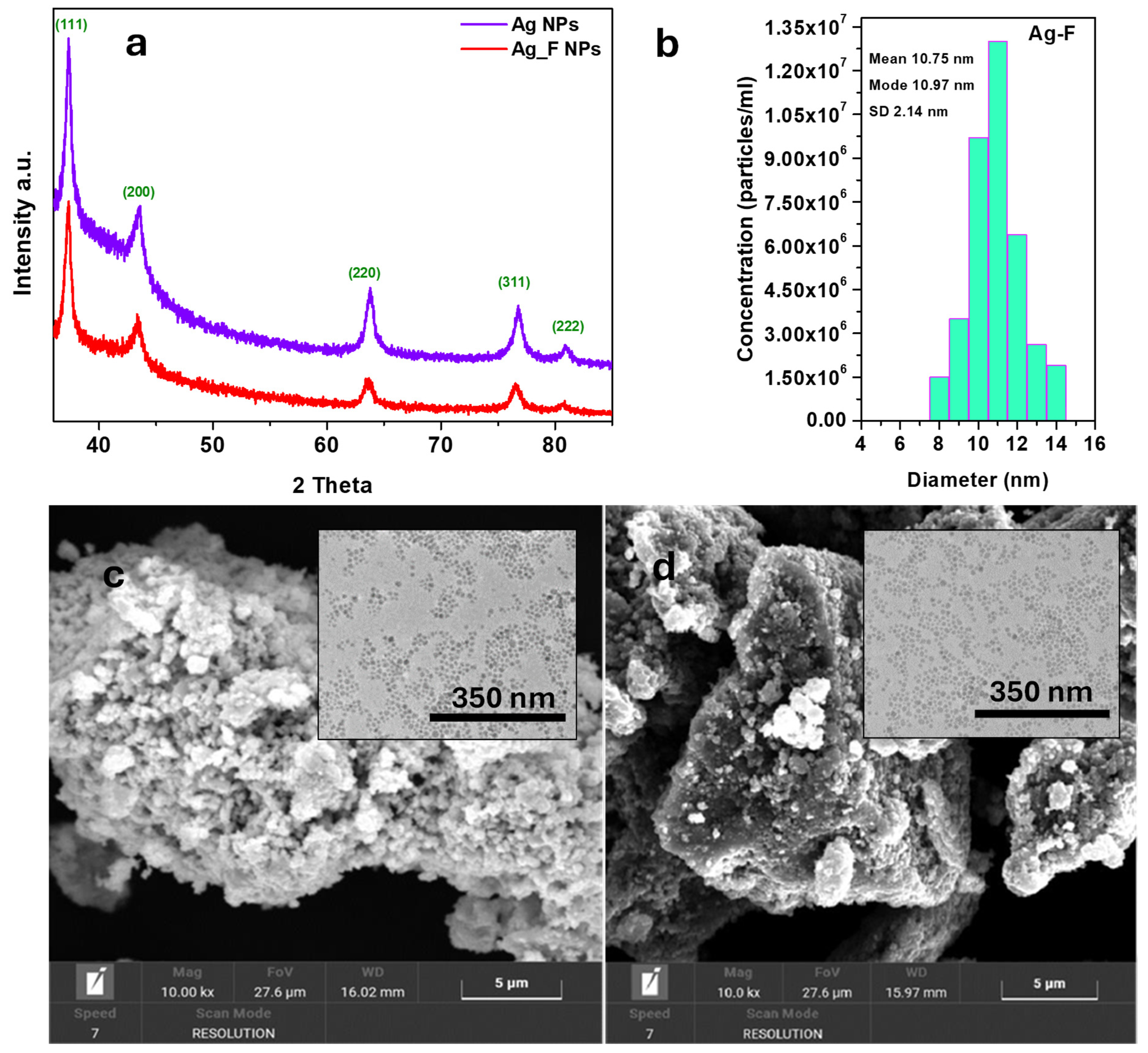 Silver Nanoparticle-Based Finishing for Leather Silver Nanoparticle-Based Finishing for Leather