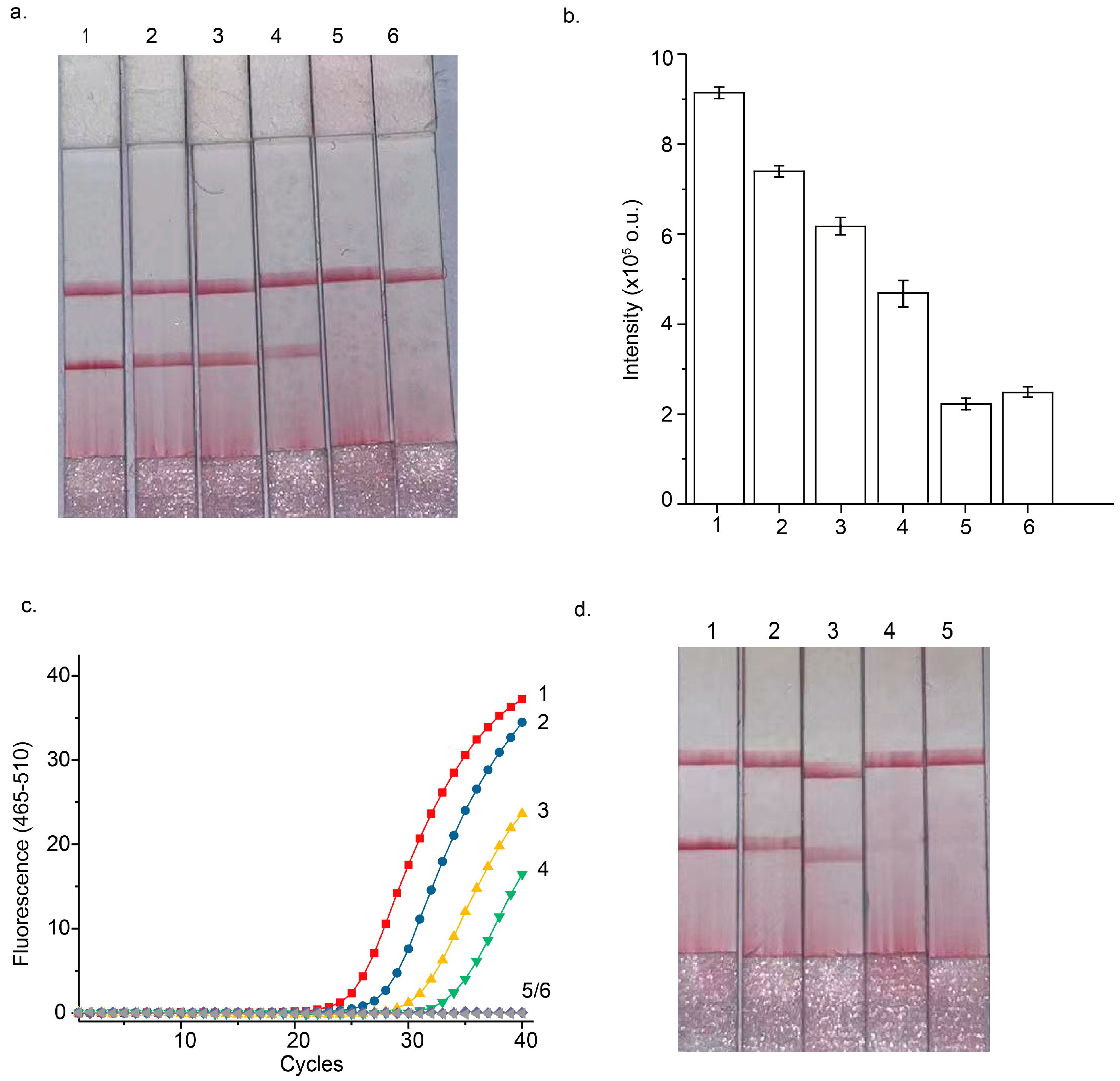 Micromachines 16 00387 g004